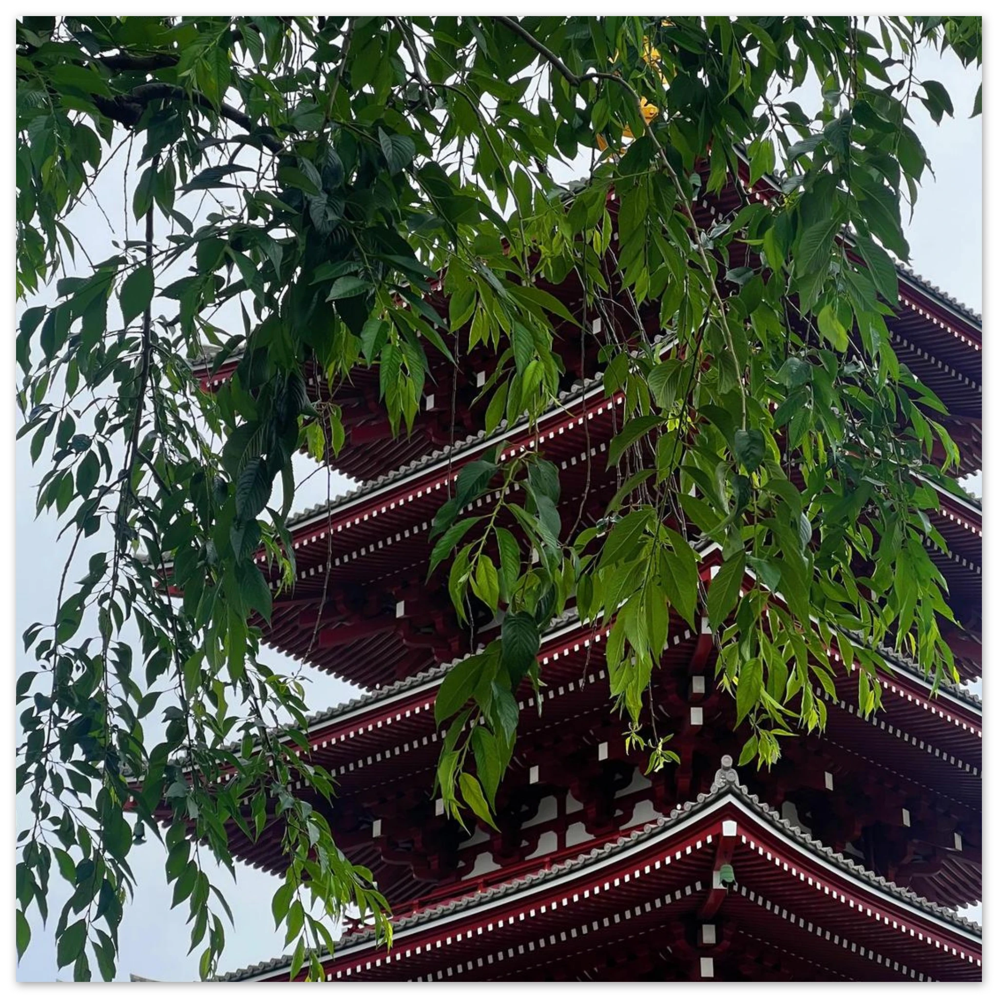 046a430c-a5c2-4505-95aa-5e0281048101