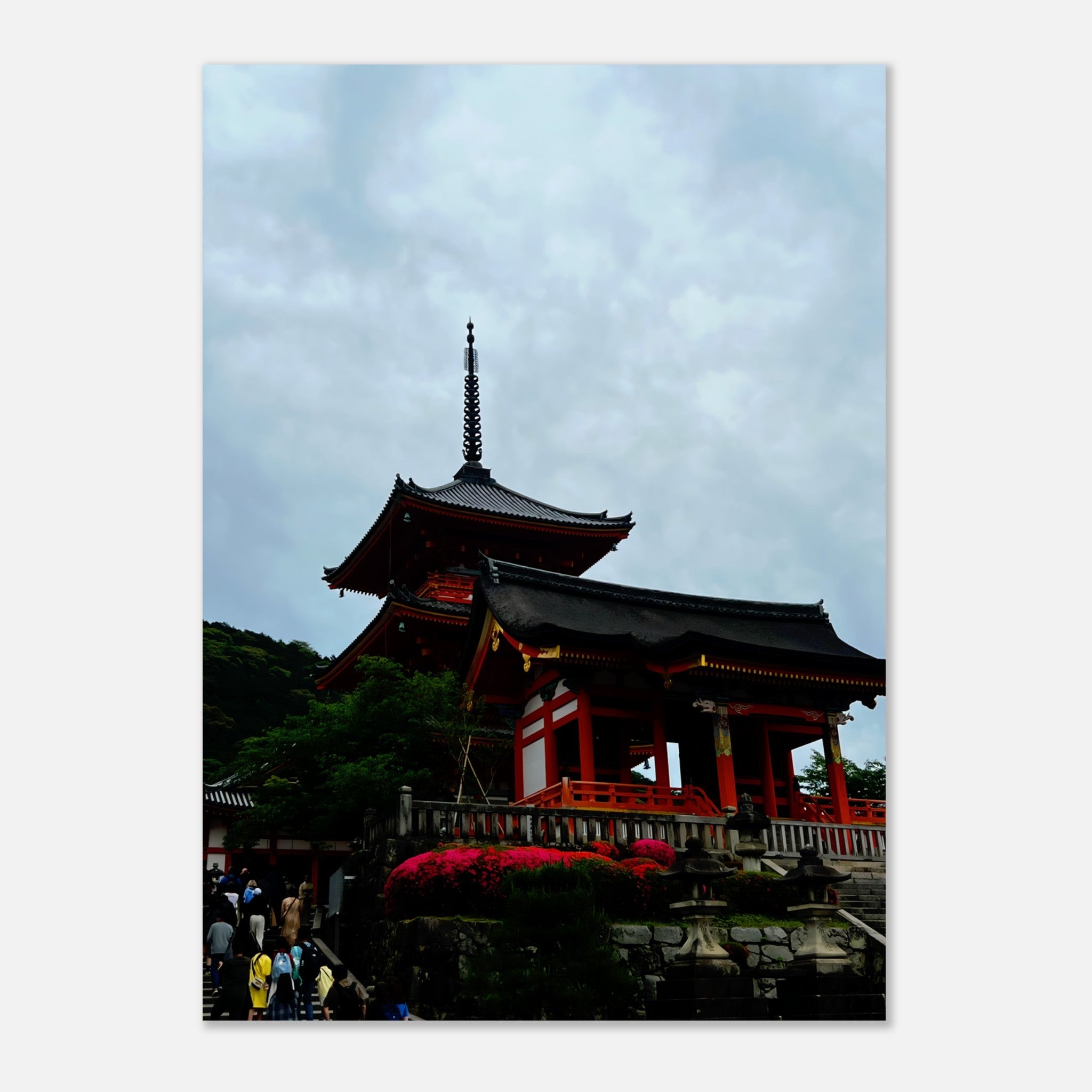 056c963e-f5e4-4e54-93ca-0f2219cf65a5