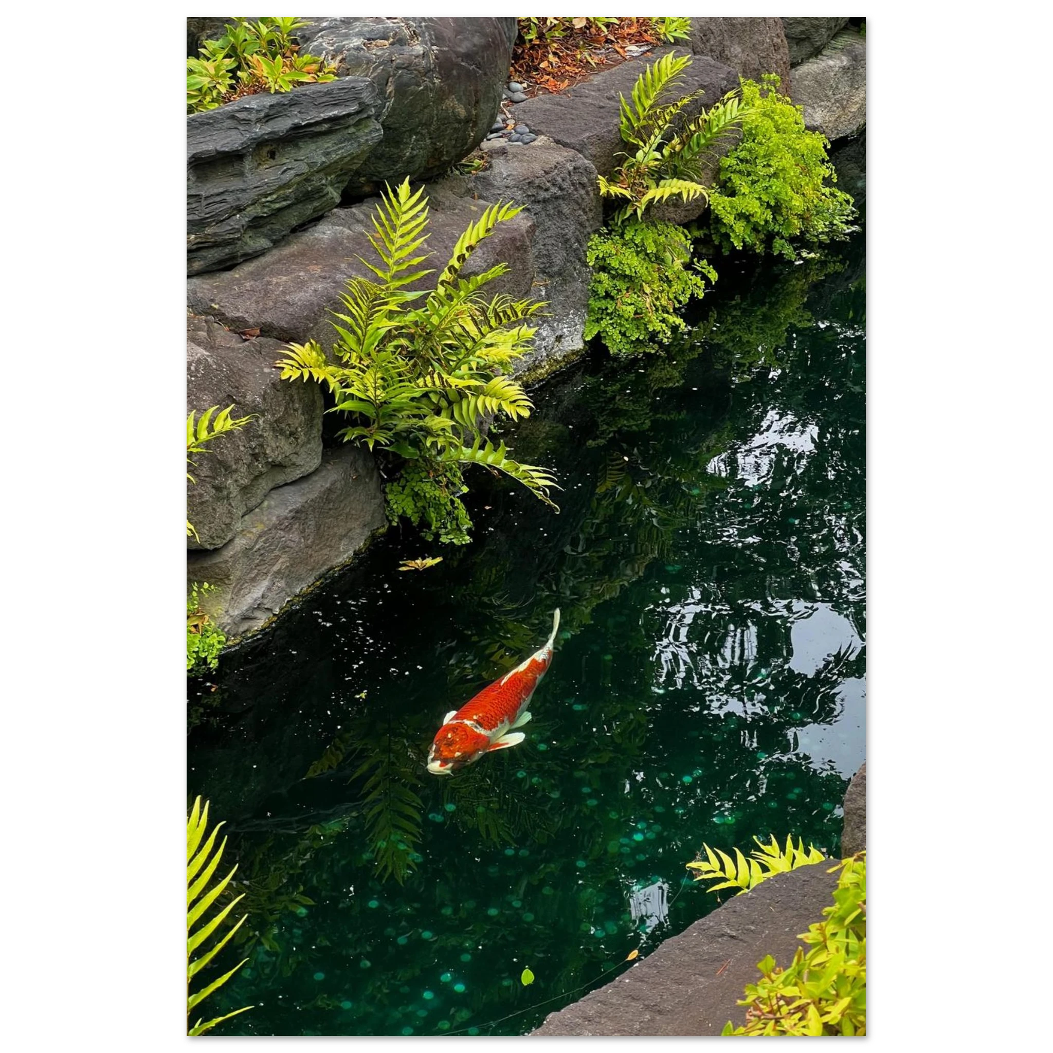 10581dd7-7c5f-41c5-aaeb-968963106e13