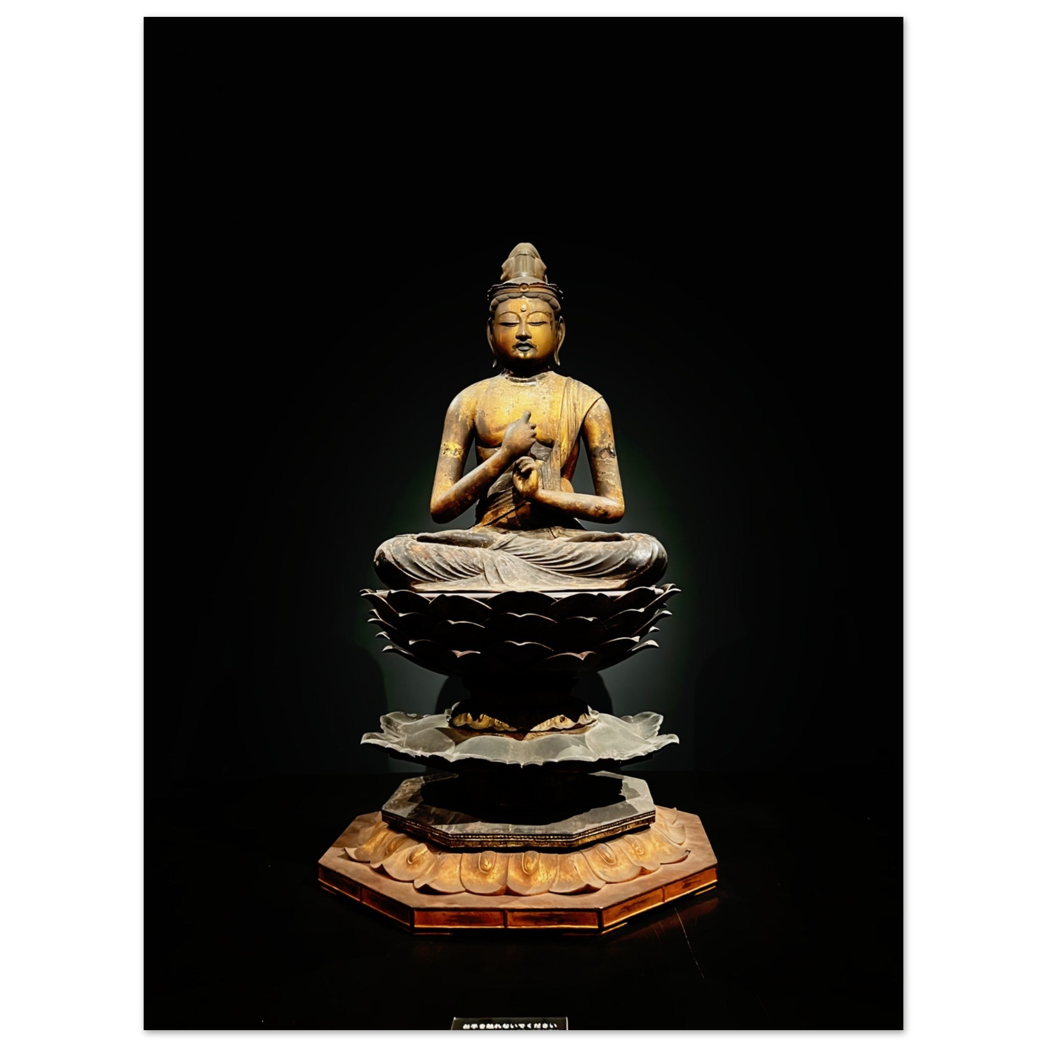 1309dd5c-3264-428b-ba5f-4d8e21ba5082