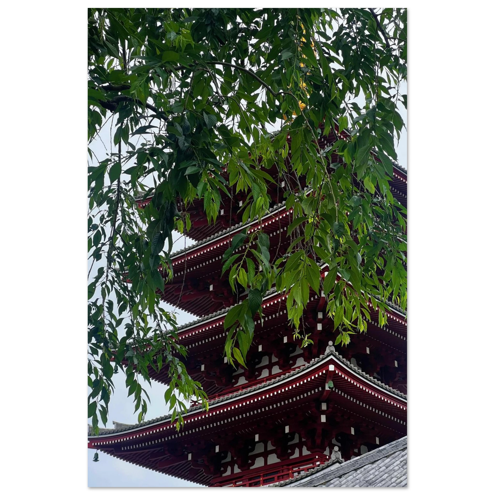 13d98854-2967-4f4a-a5aa-a335f3c18ea9