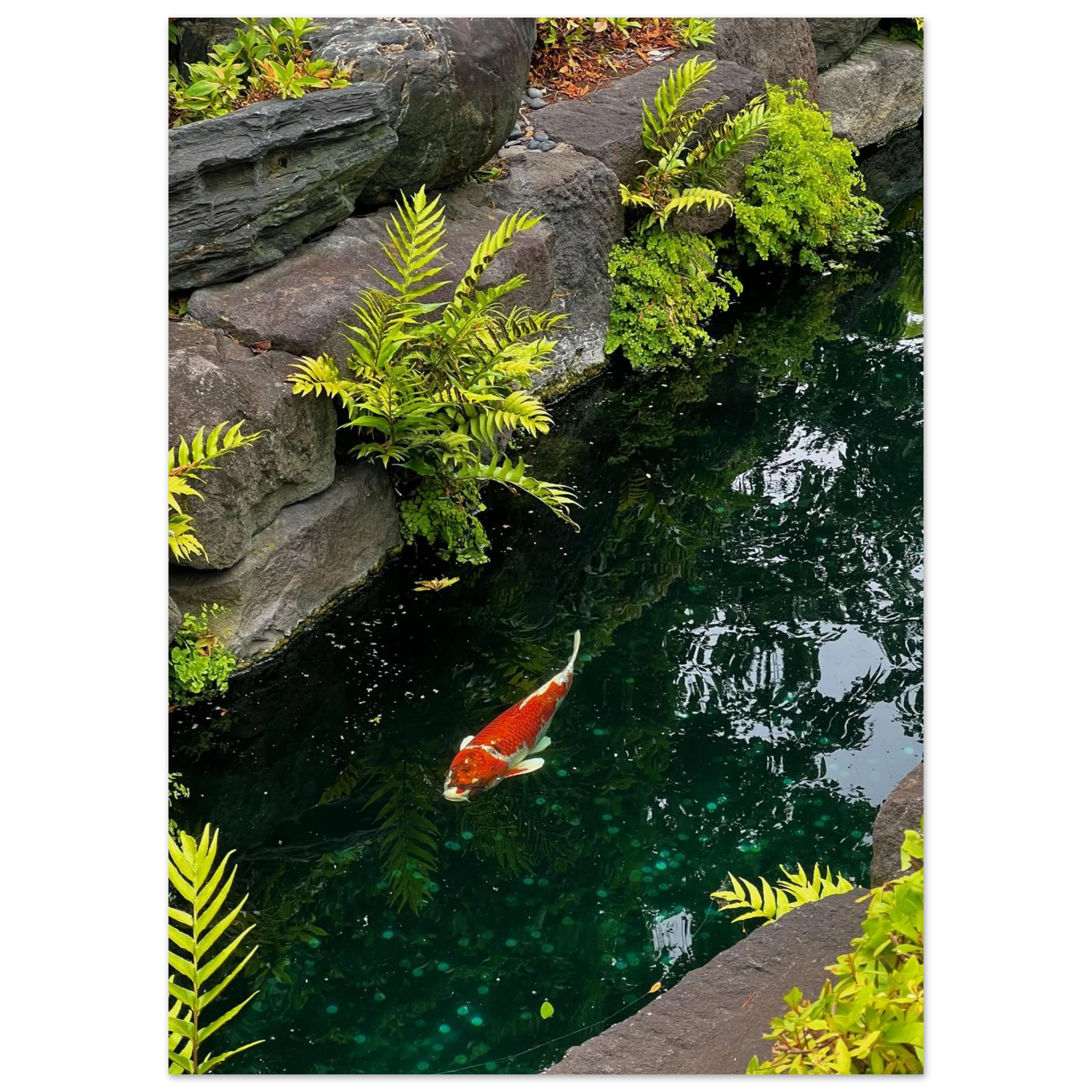 238ff89d-033f-4f0c-b462-6d3518e607eb