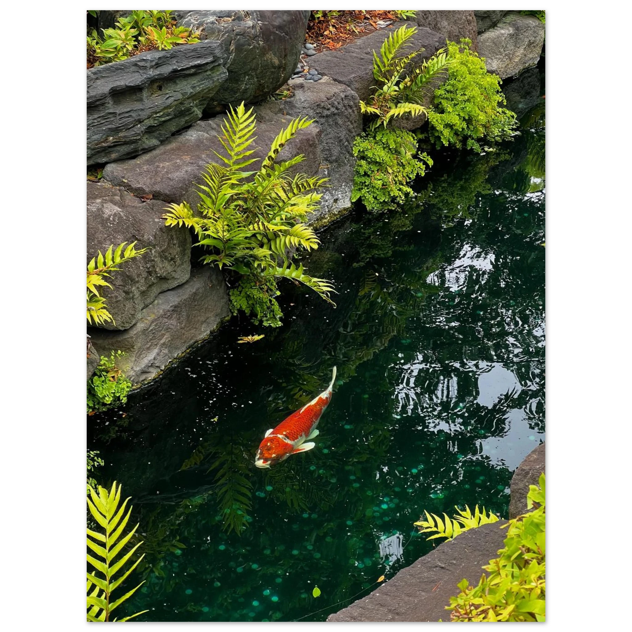 257b275f-6ebc-4e2e-96fb-4e49072d7a13