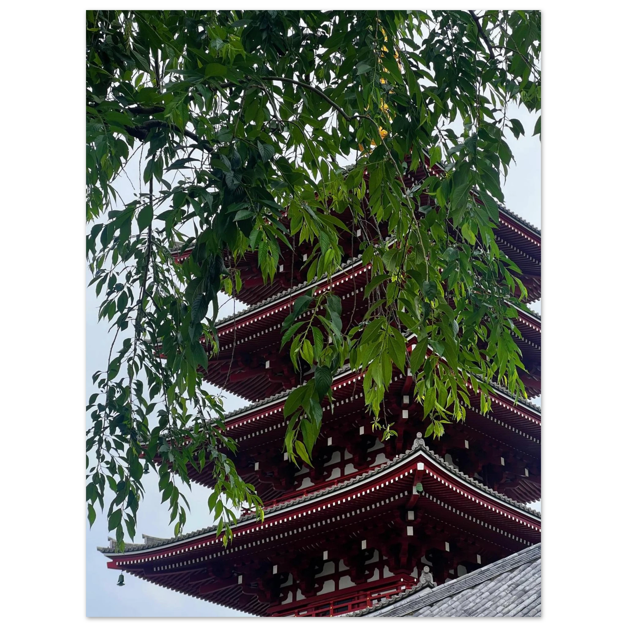 284eb4ec-b7b2-4fc3-b800-1df25d27d526