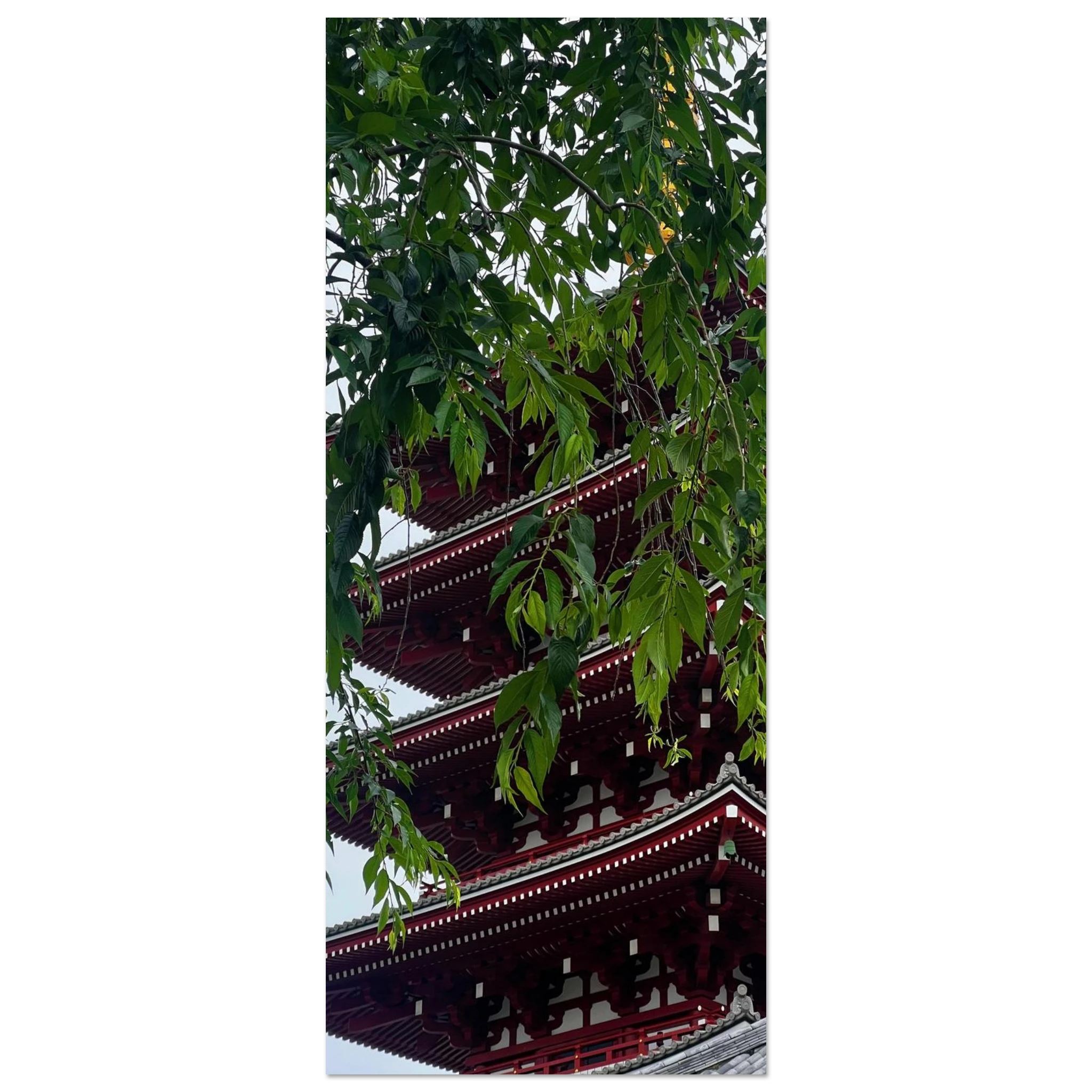 29fbeda0-8bb2-4f61-9d33-5c332de3274e