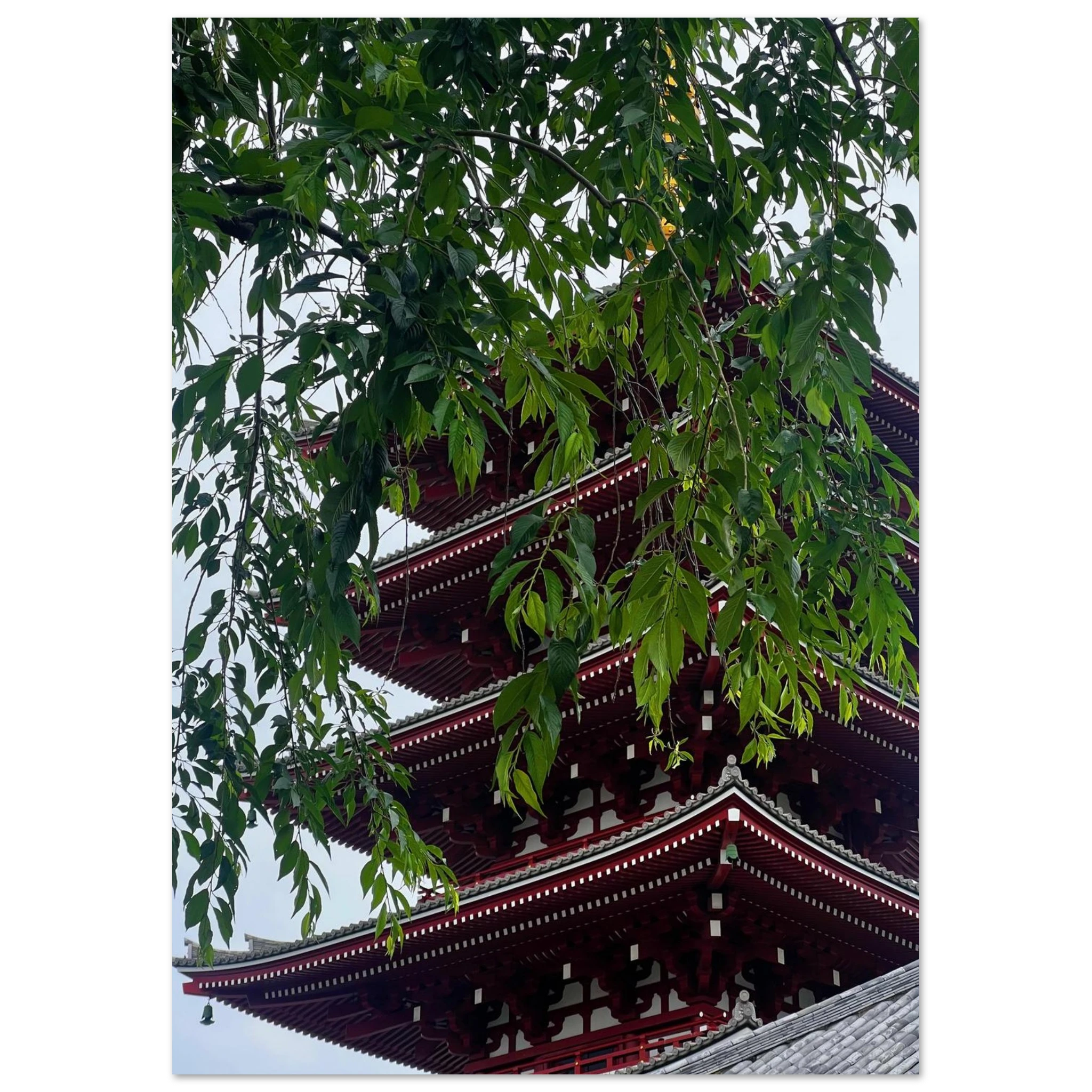 2d18411a-33ae-4e19-85b7-d19798c3bbb4