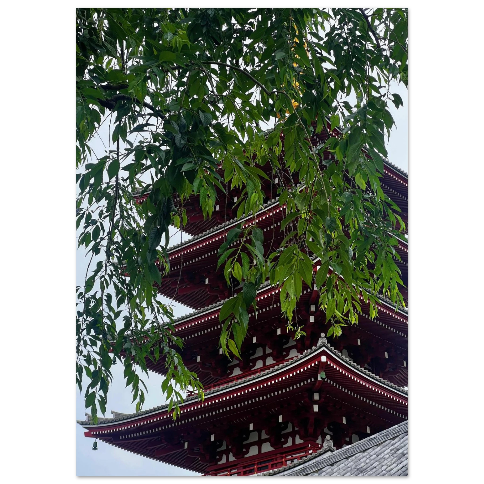 34400a4f-ff73-42a2-bb44-31a7944a8bd1