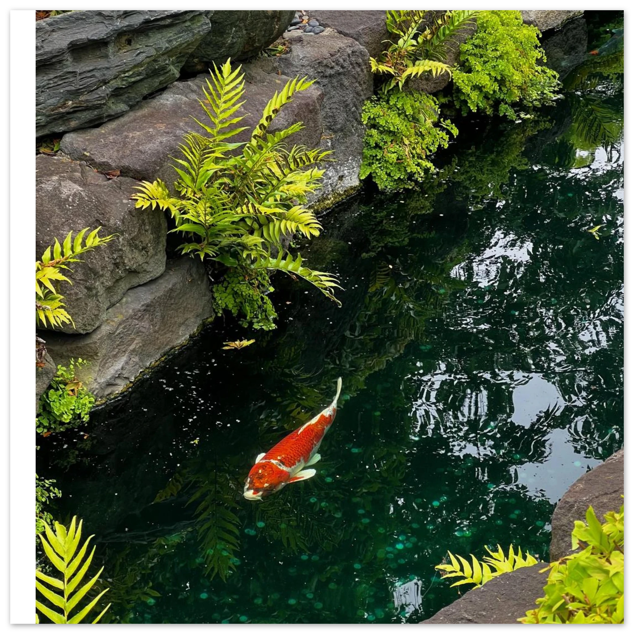 3899329c-a725-4a88-b5f2-0c74f5b3cd44