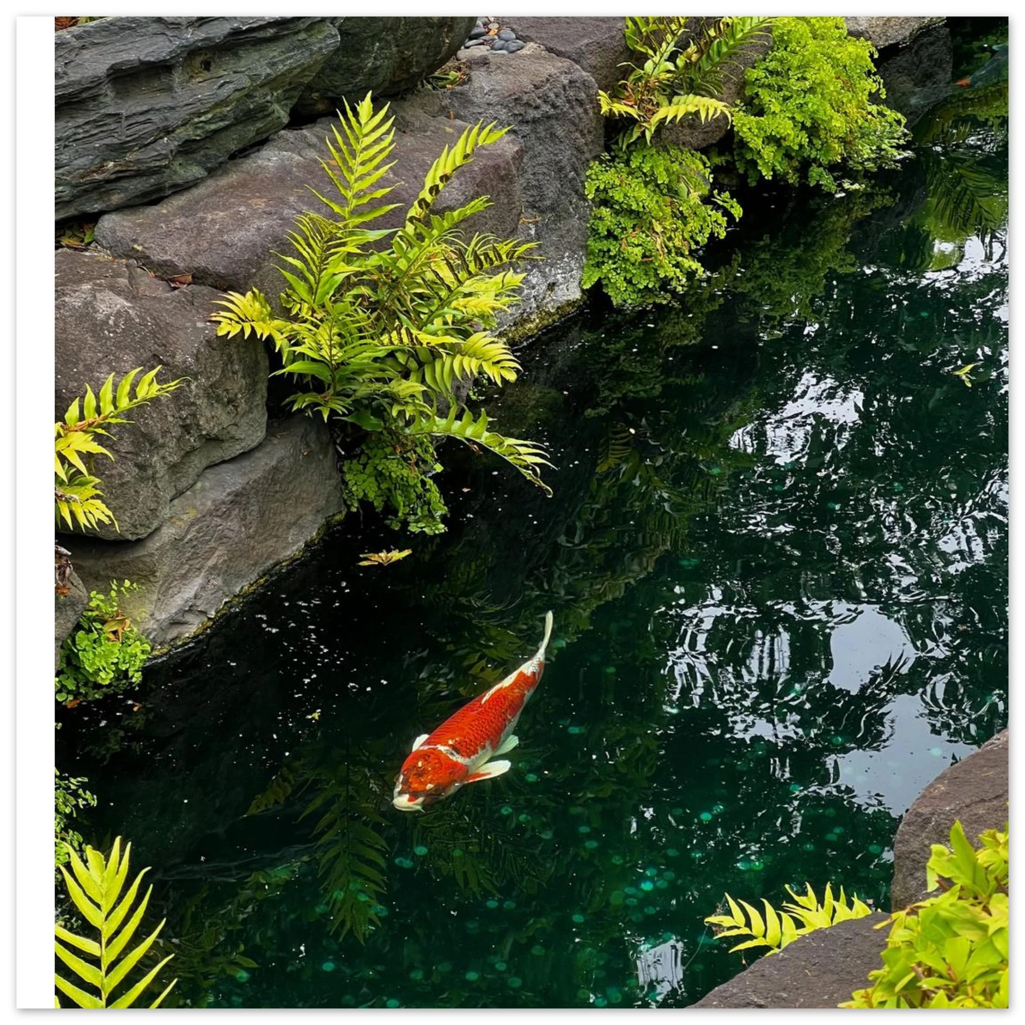 399caf22-1a6a-4580-8103-7c1b52caaf9f