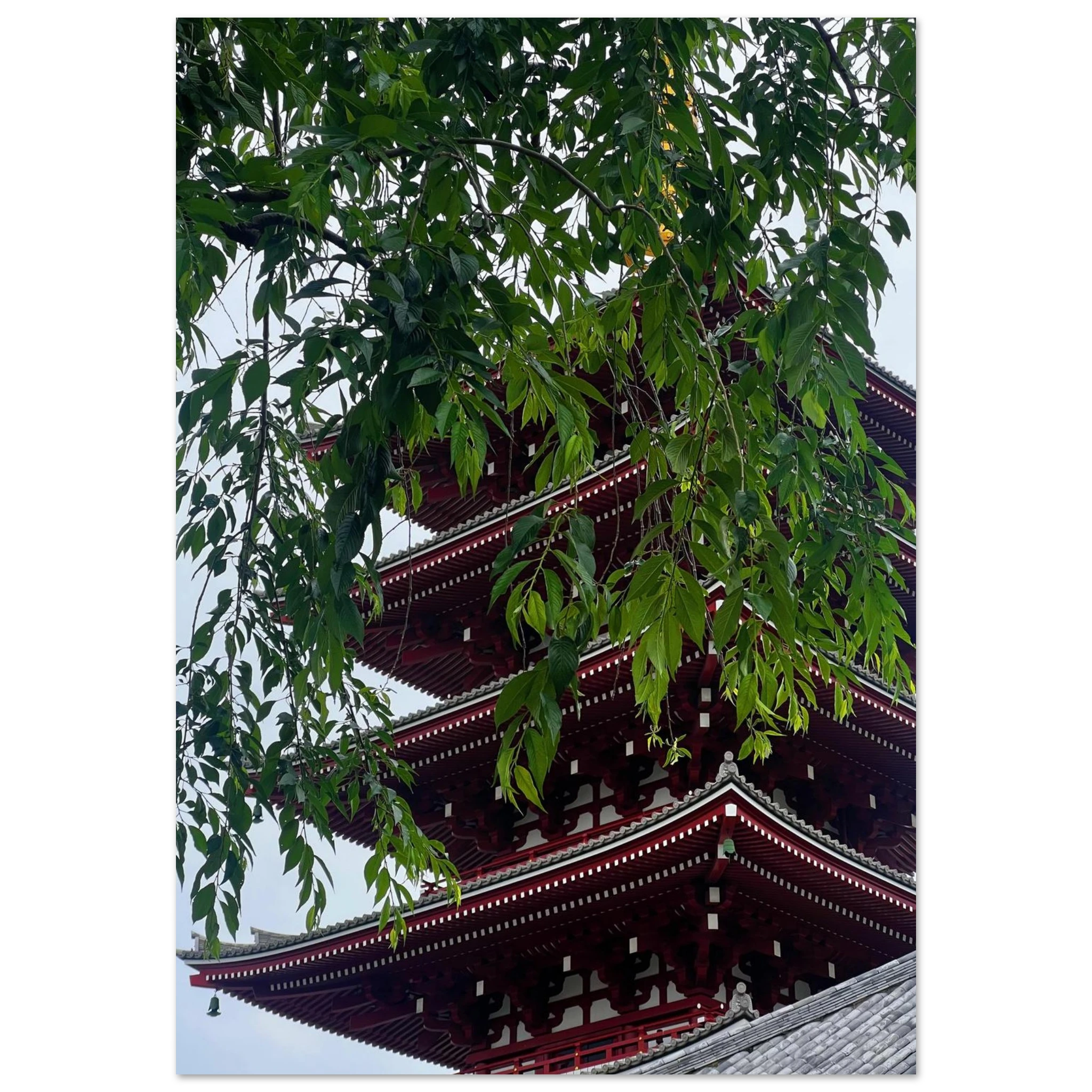 3acf8b18-284f-4cf6-88b2-a2873121672c