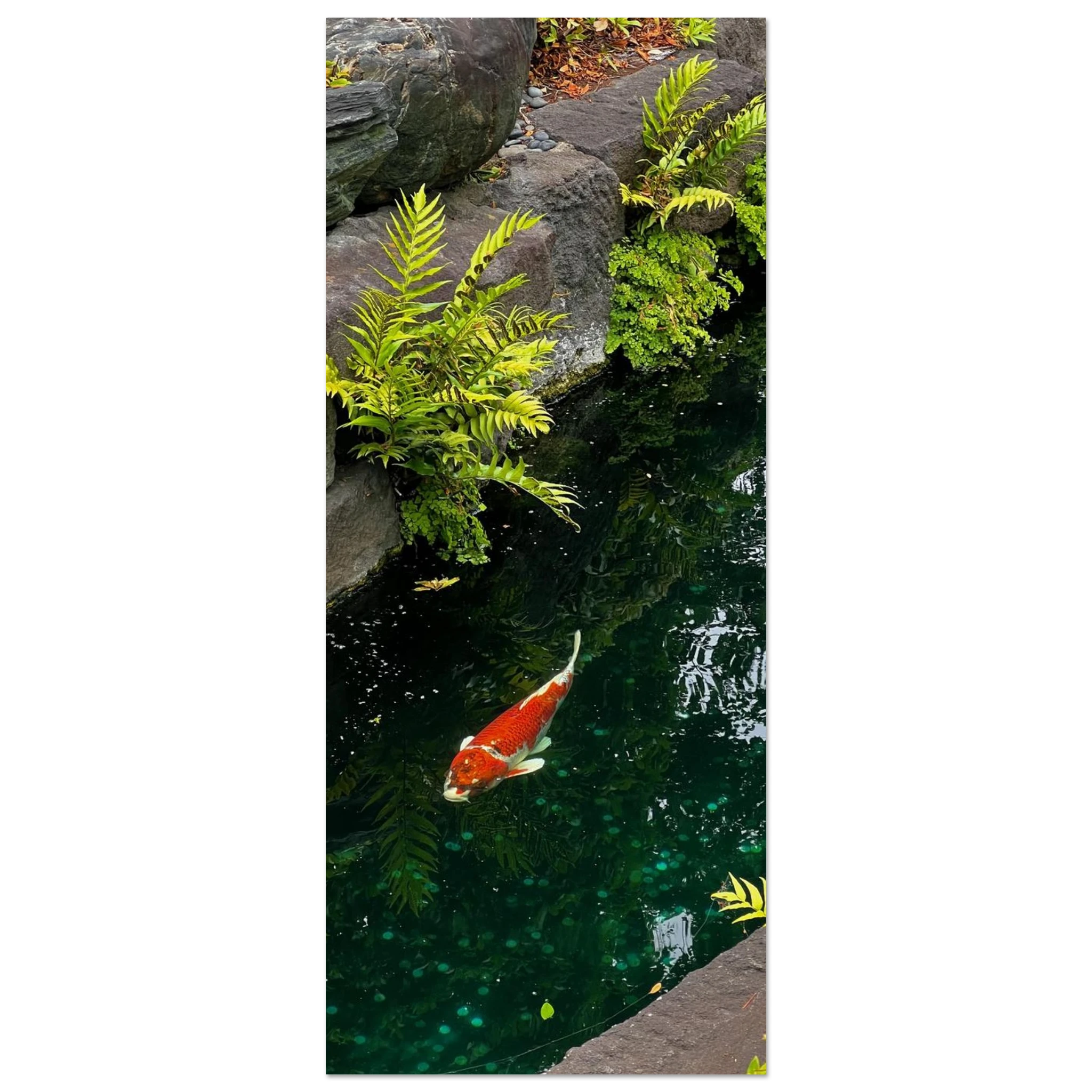 3d03fc03-2648-4b12-9514-20ee70eed15f