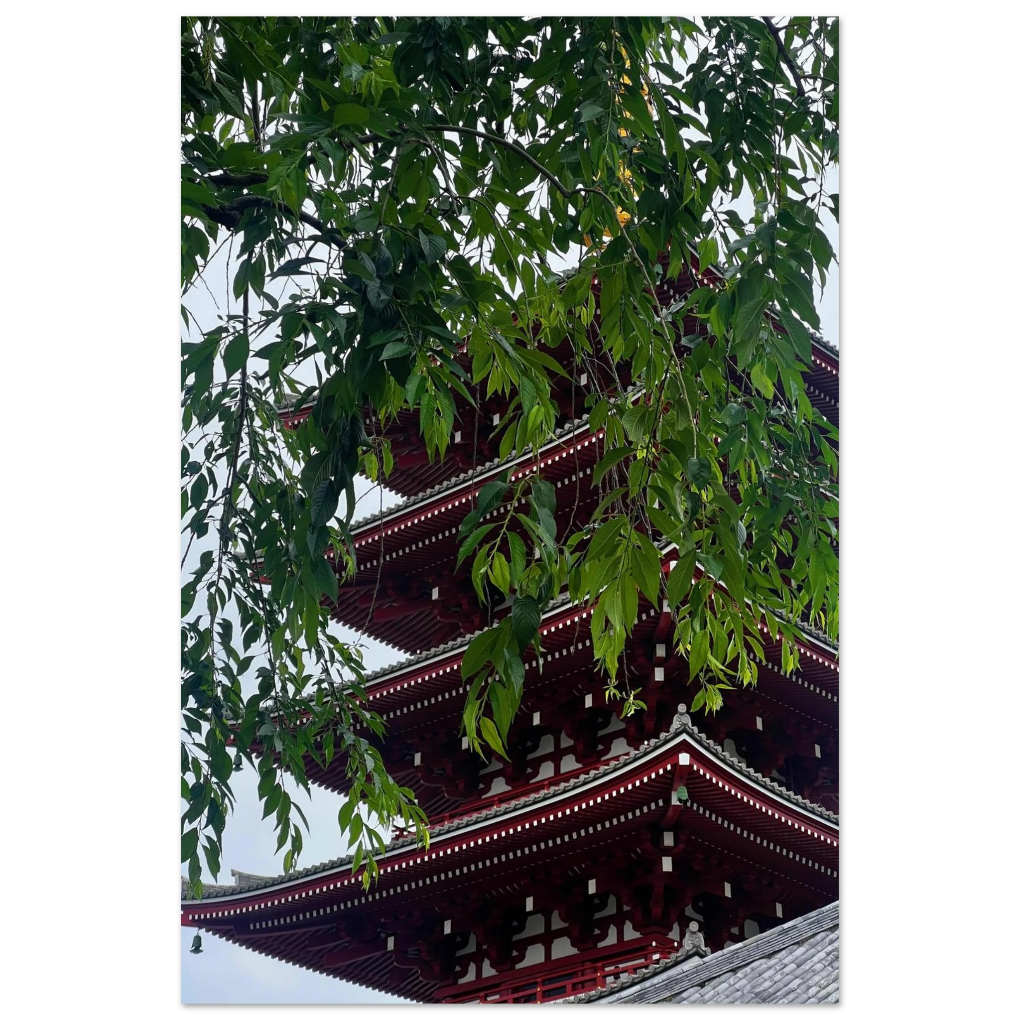 483bb71c-bb17-43bb-a9d0-3c2290134b4e