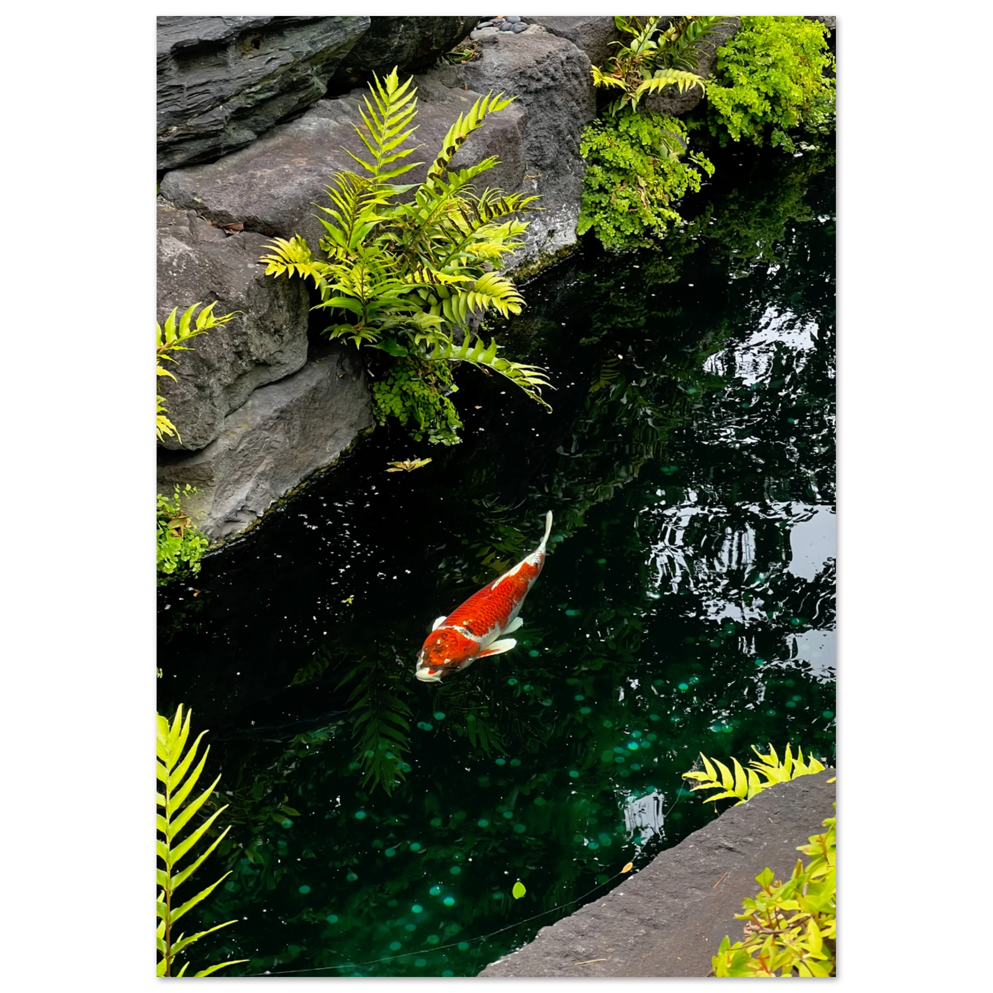 4881be76-9ac0-45b0-8dd1-8ec8597e1355