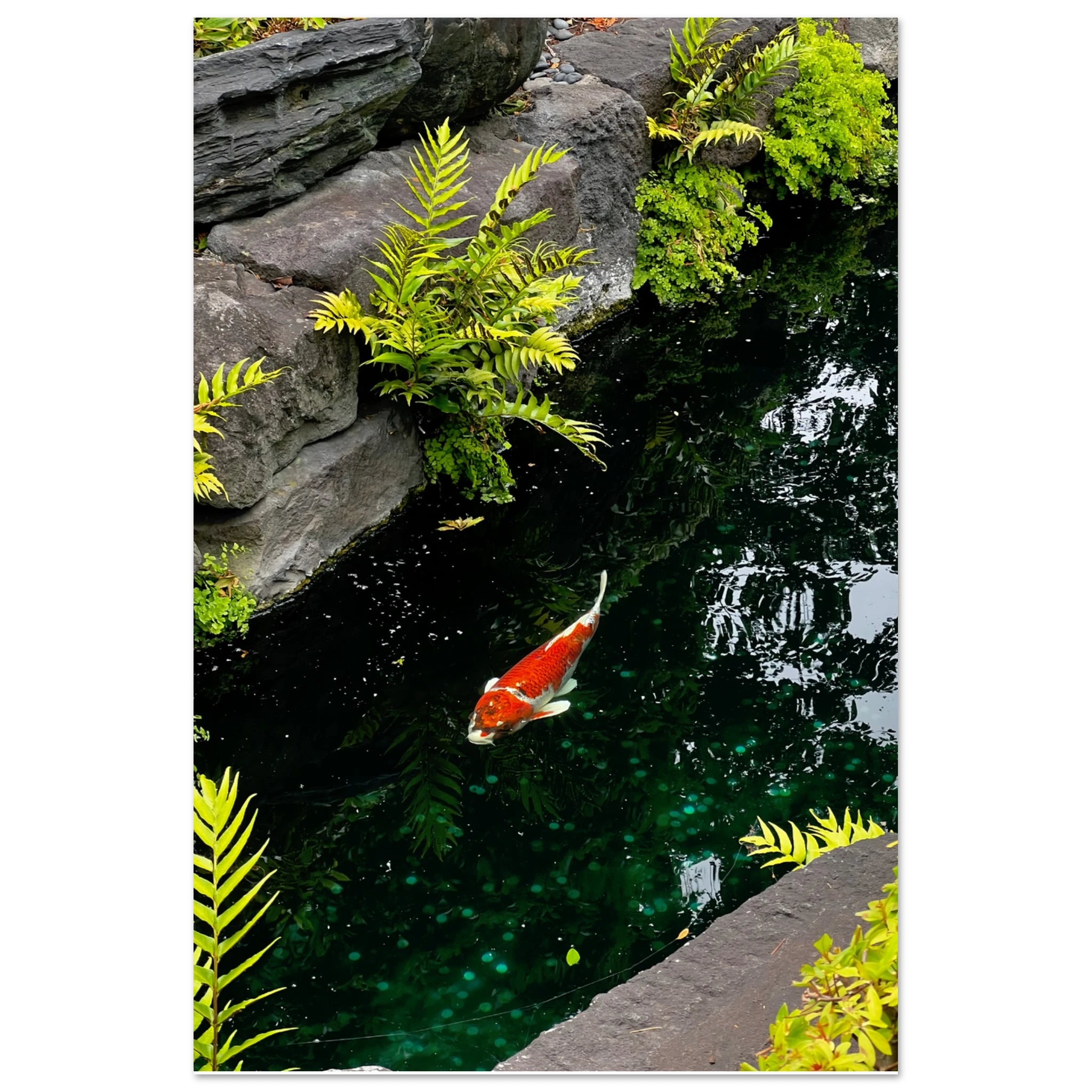 48d8e583-5057-4441-a75f-bf6a8aa95d86