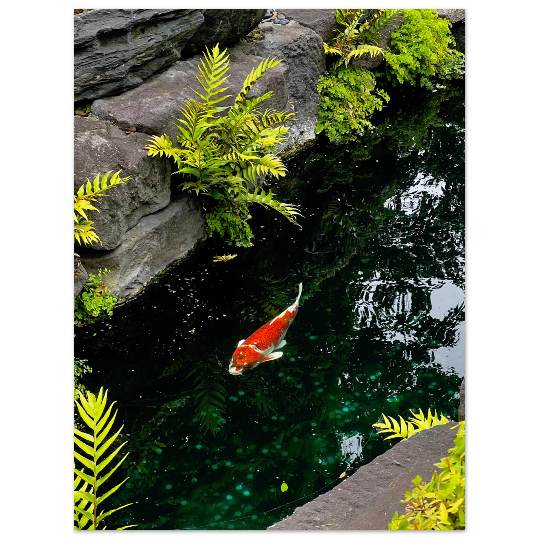 4d35dbad-569d-4023-9351-c79930bb85e4