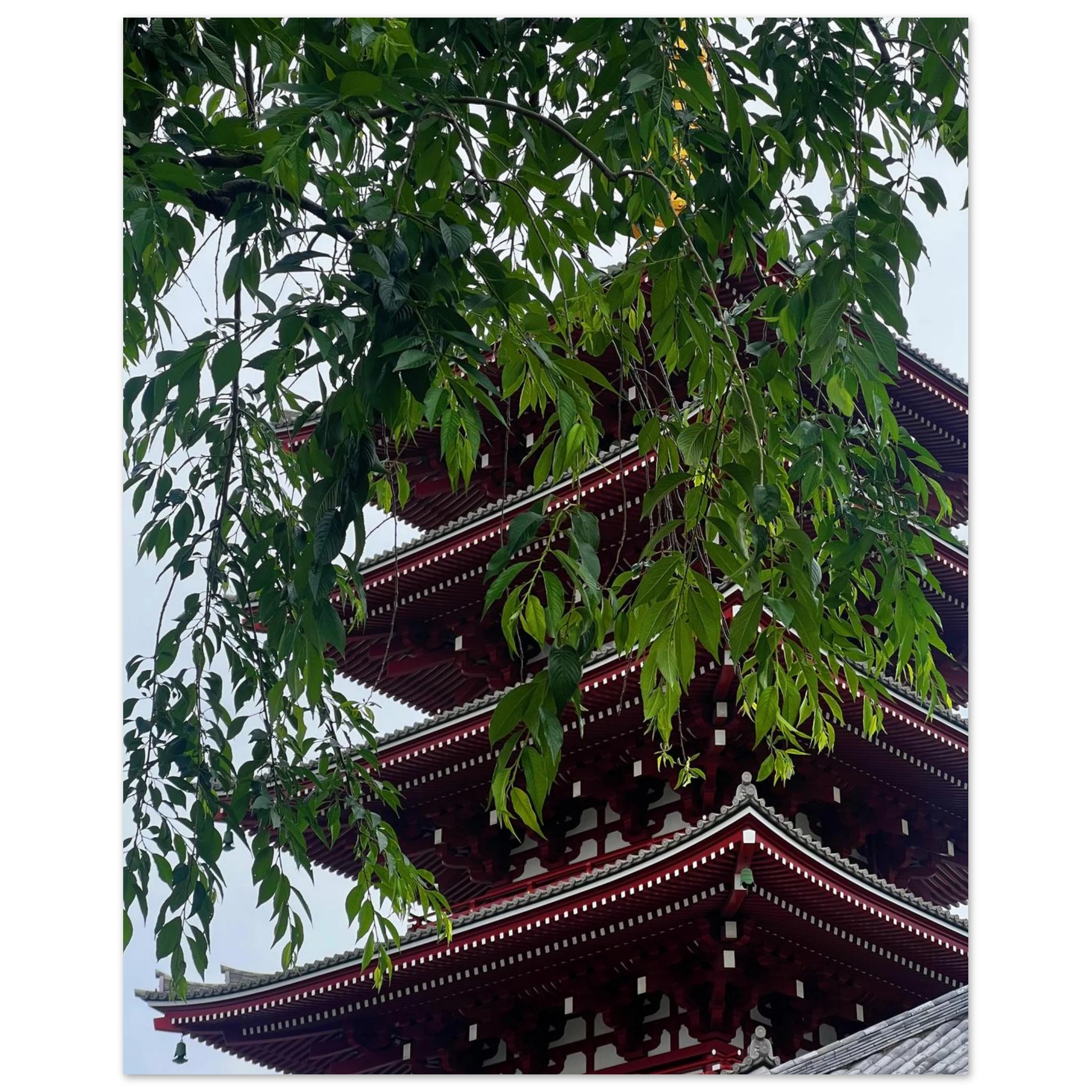 533f8a17-9305-4d5b-8b01-3288a19acd73