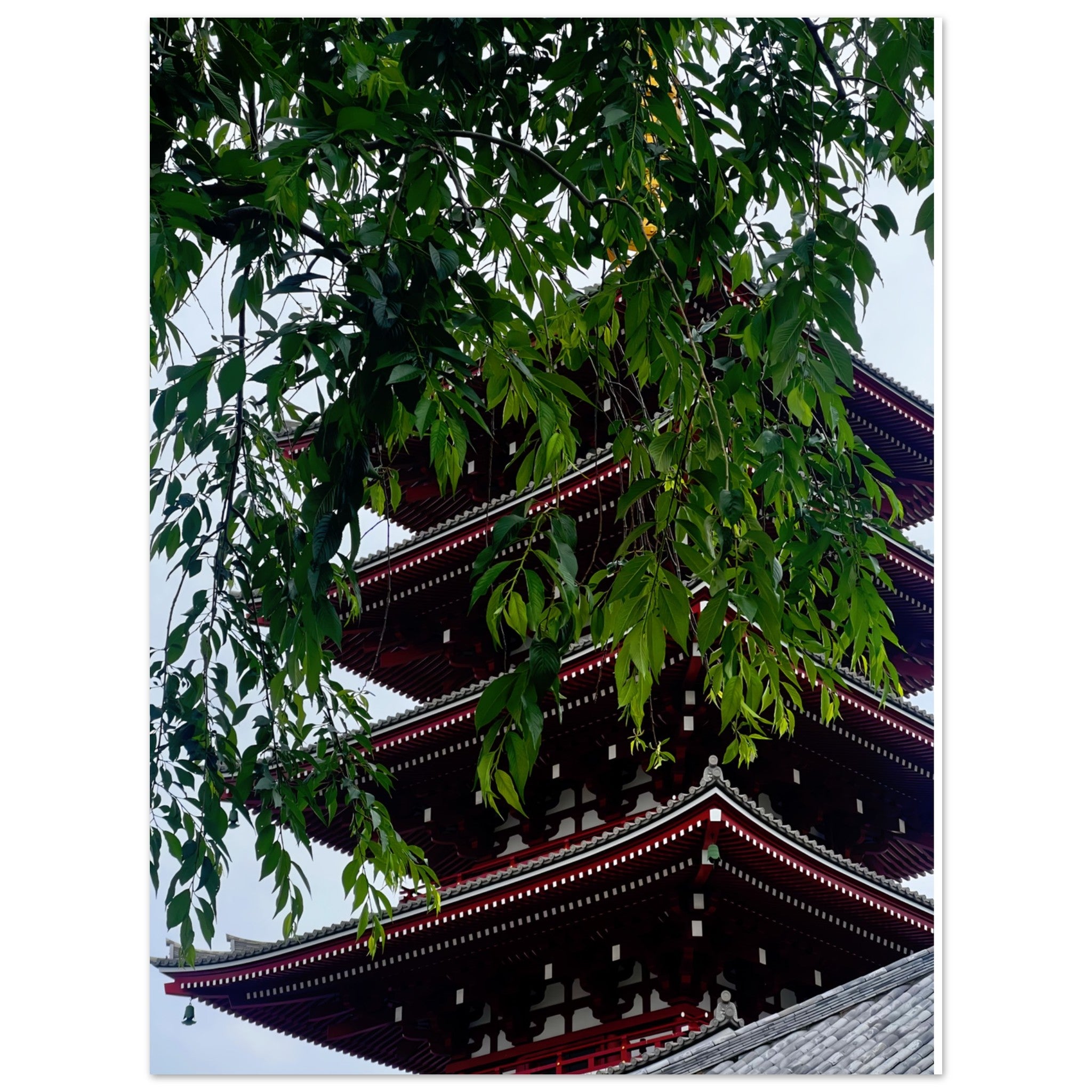 5c0e016c-12d6-4c8e-b636-f2a668b0c890