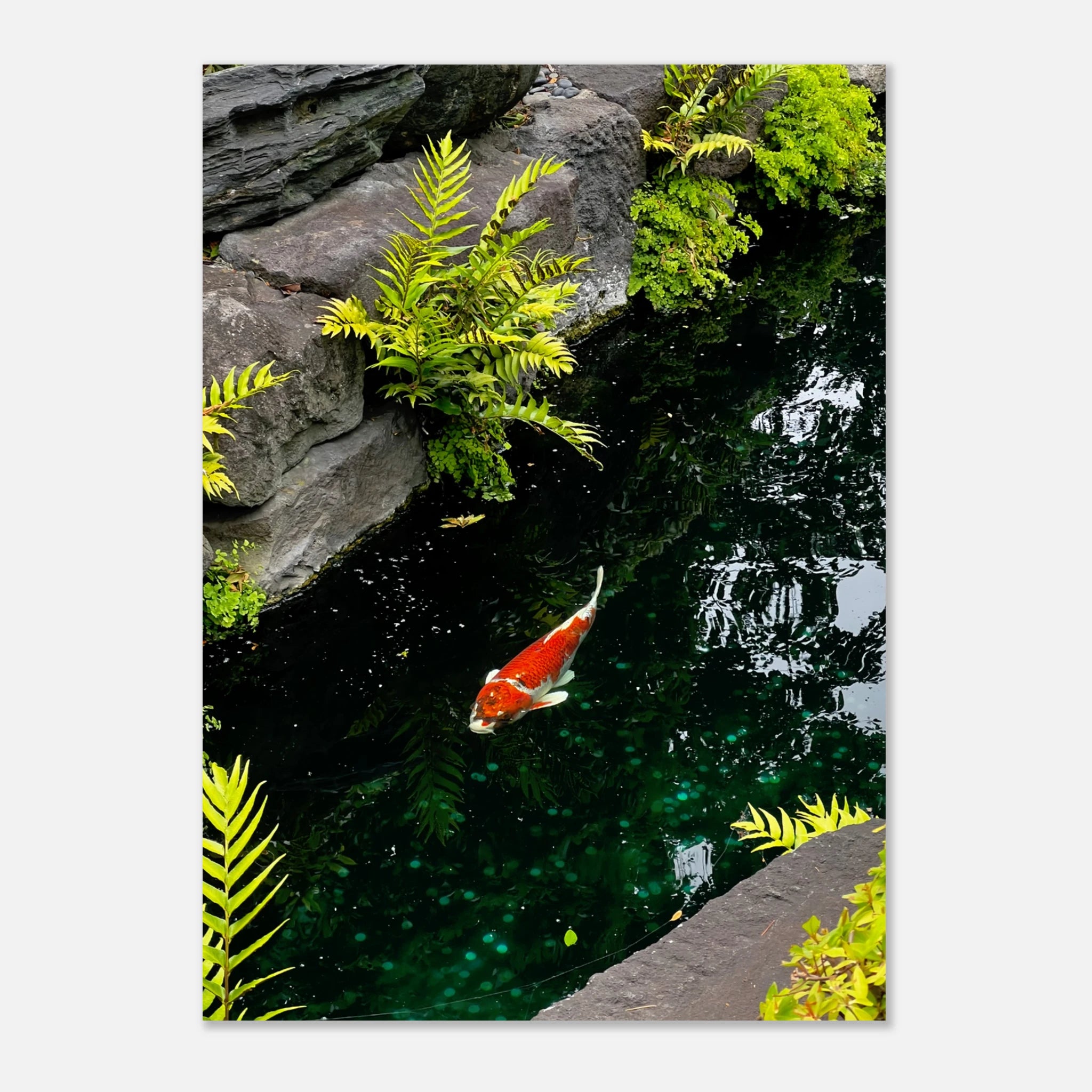 5c51af78-3508-4cd3-bf04-c67fb9a72c33