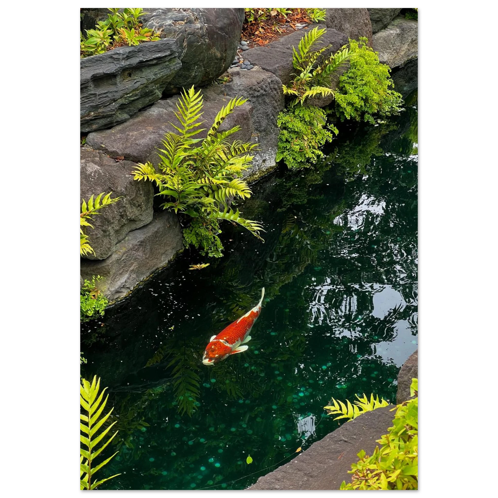 60aef423-4964-4ec5-9c20-1d51d71defc1