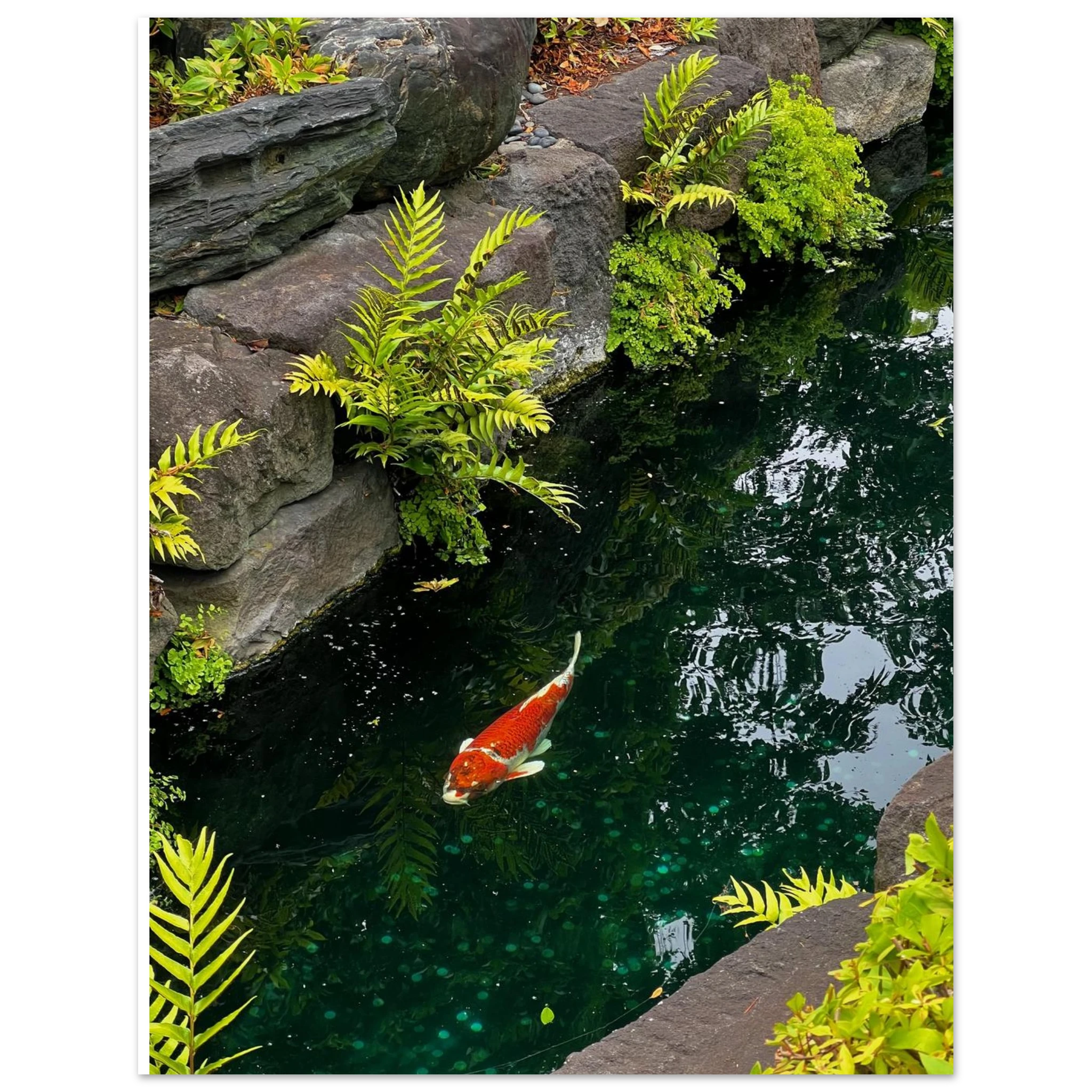 677a47ed-ae79-423a-ac41-cf1e287ff6f6