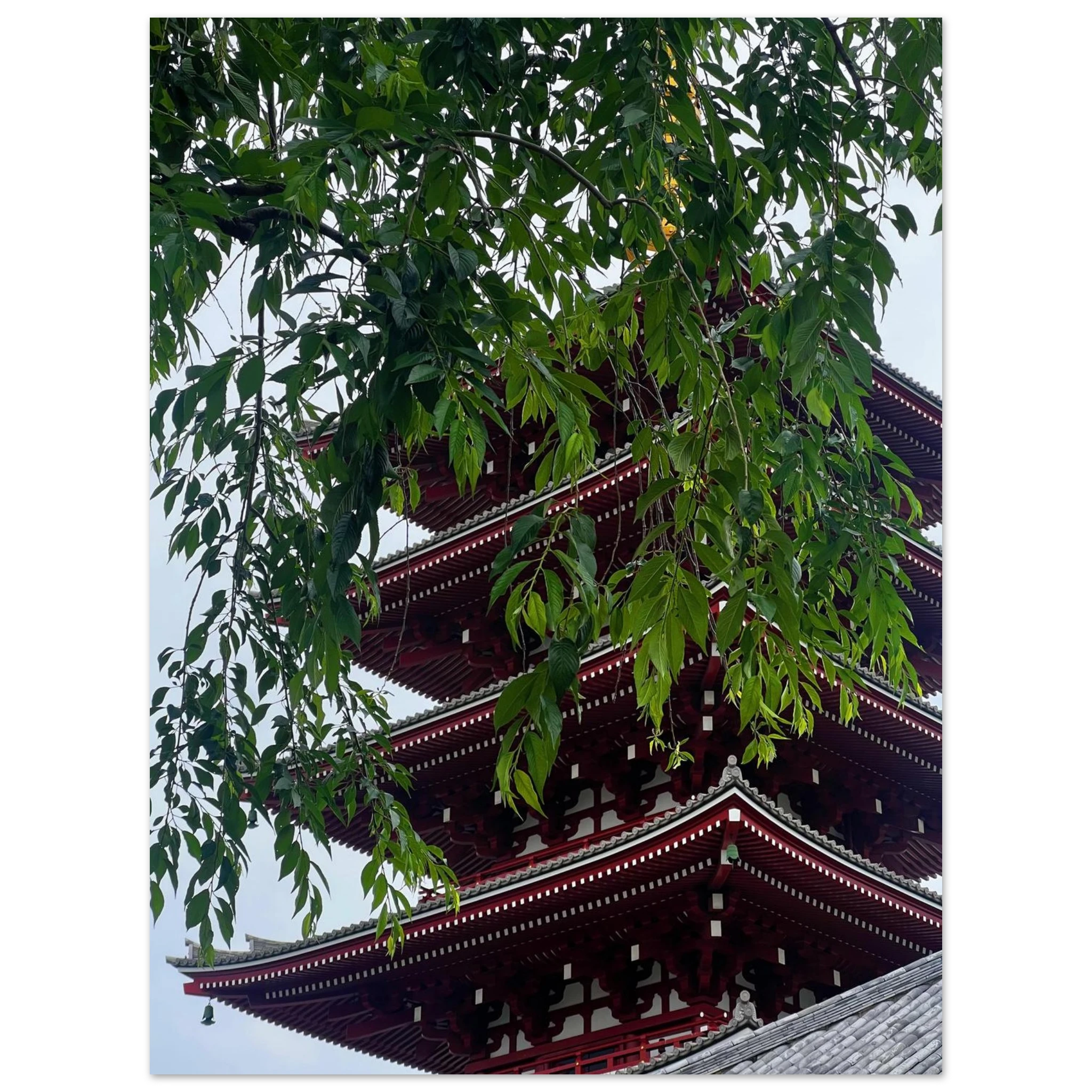 6b188328-251c-43bc-82b2-4581a0c428bb