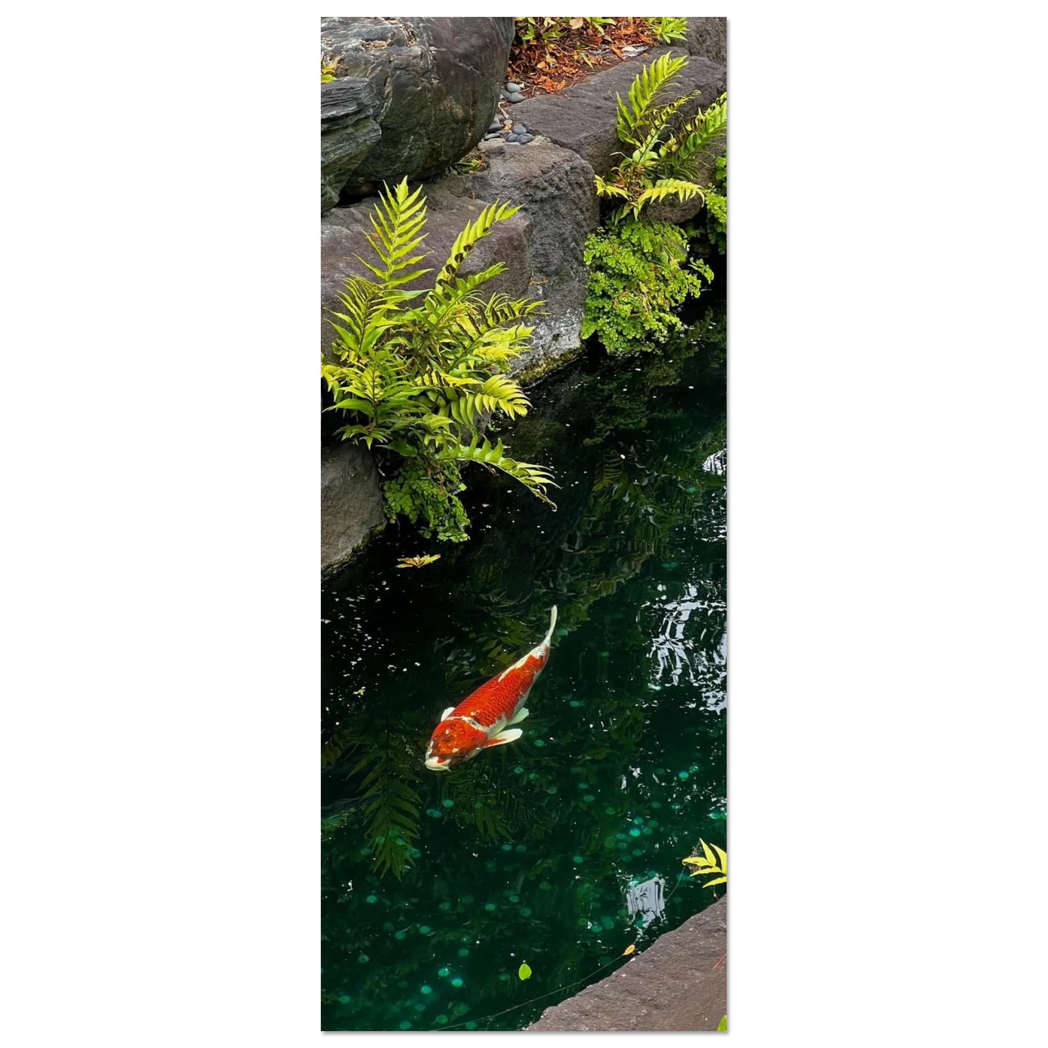 74fd8e98-a5a2-45af-b42e-0b18f84a6813