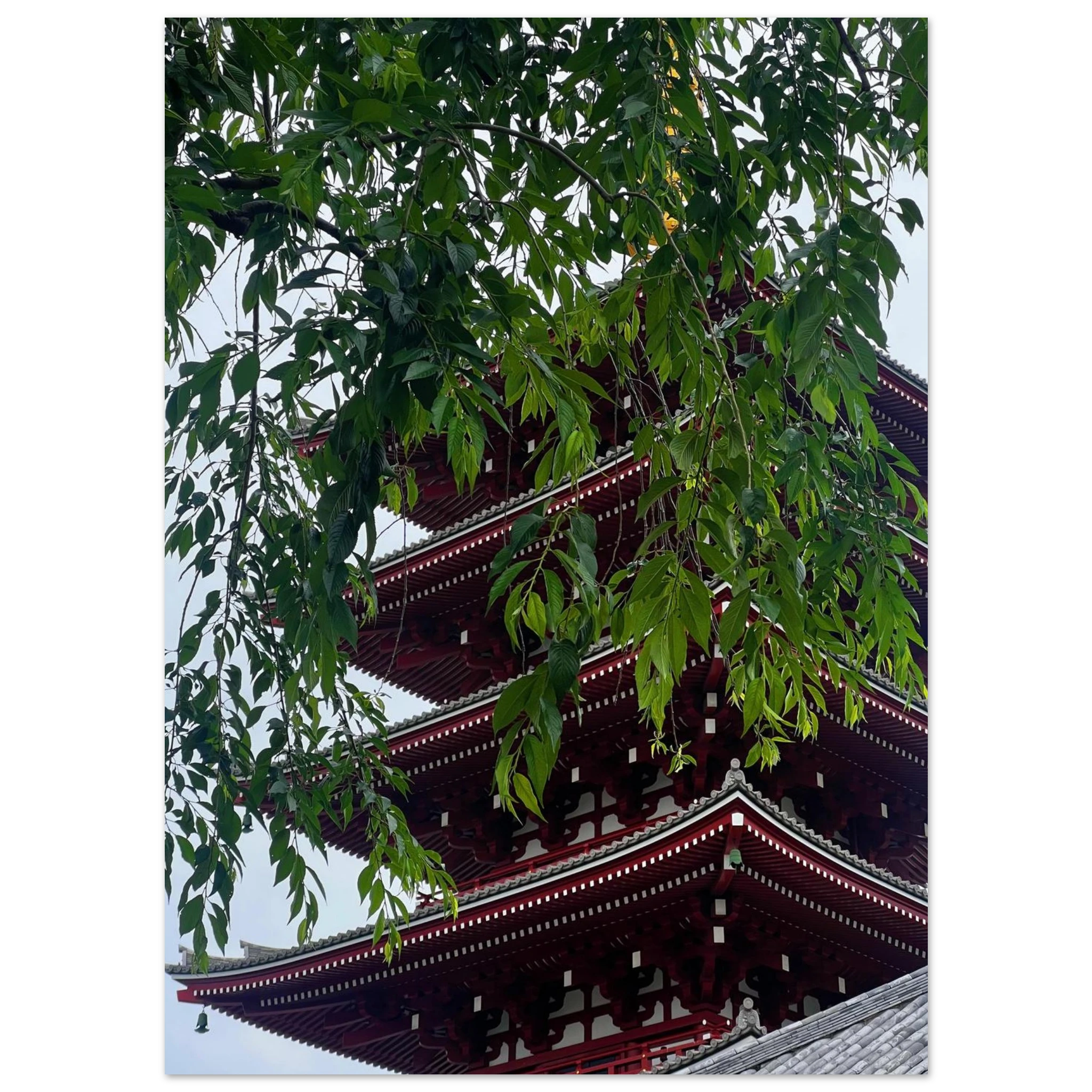 7f24de2e-6f13-4683-b7a9-177cb8bc880c