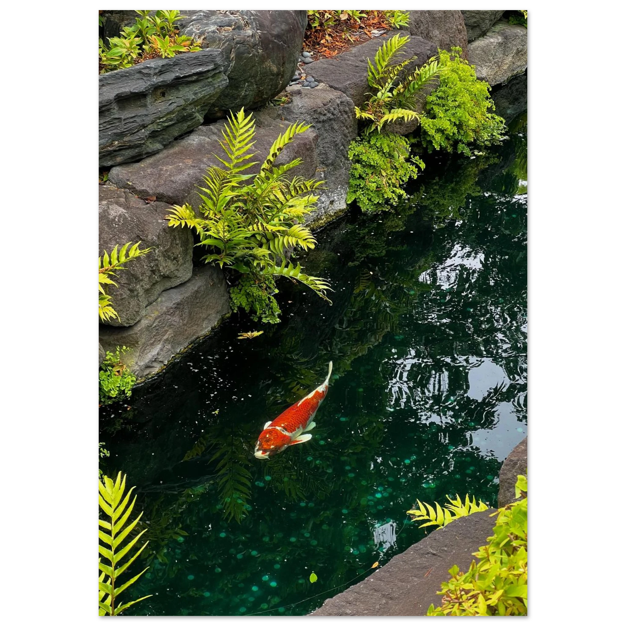 8afebd6f-abac-4a59-a4db-79670bec95a5