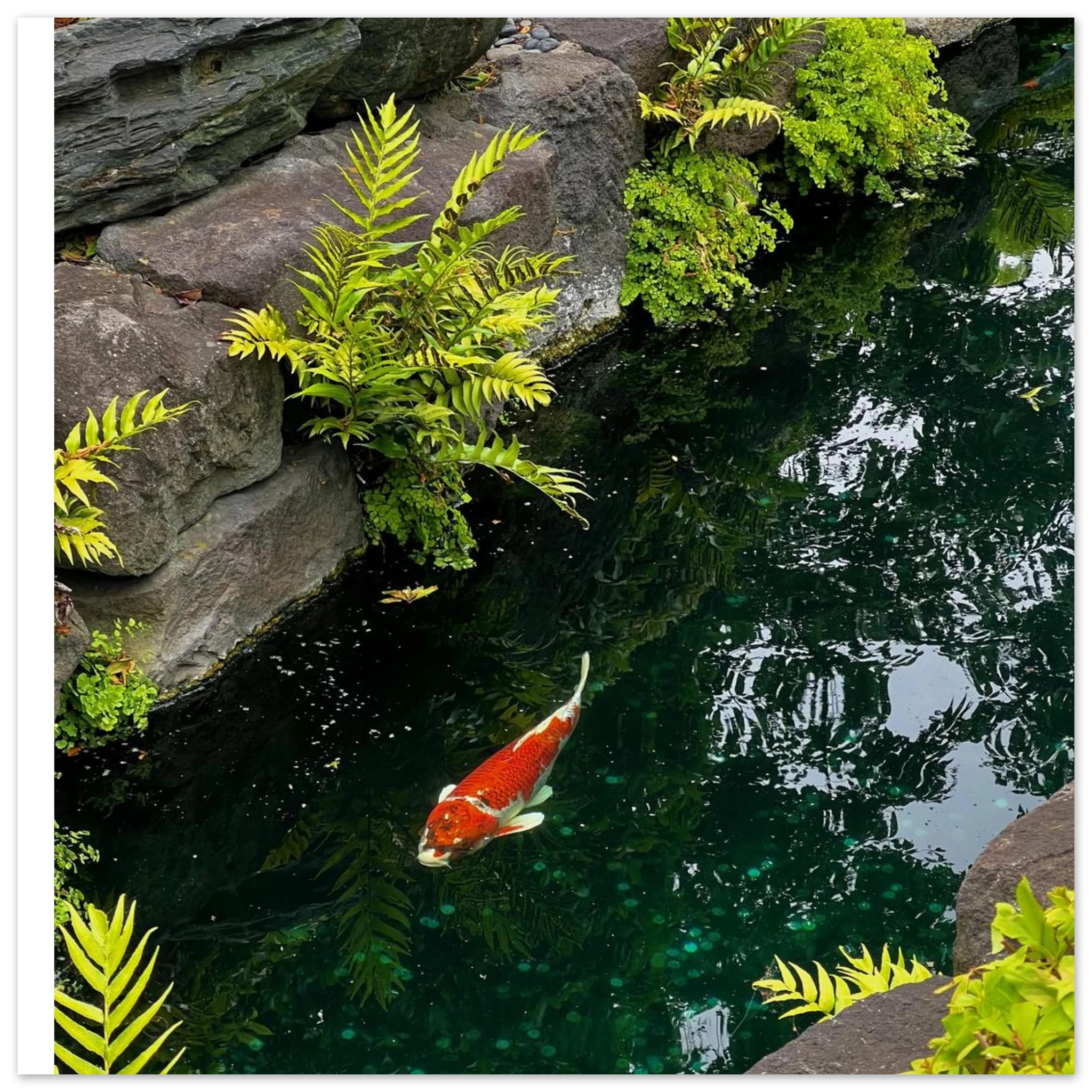 8bf3d030-efb4-40fe-a8ec-b78103b5ab0c