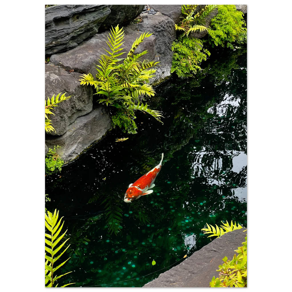 8d9f59f5-4c2e-42c7-a9d4-65b03ea2a10a