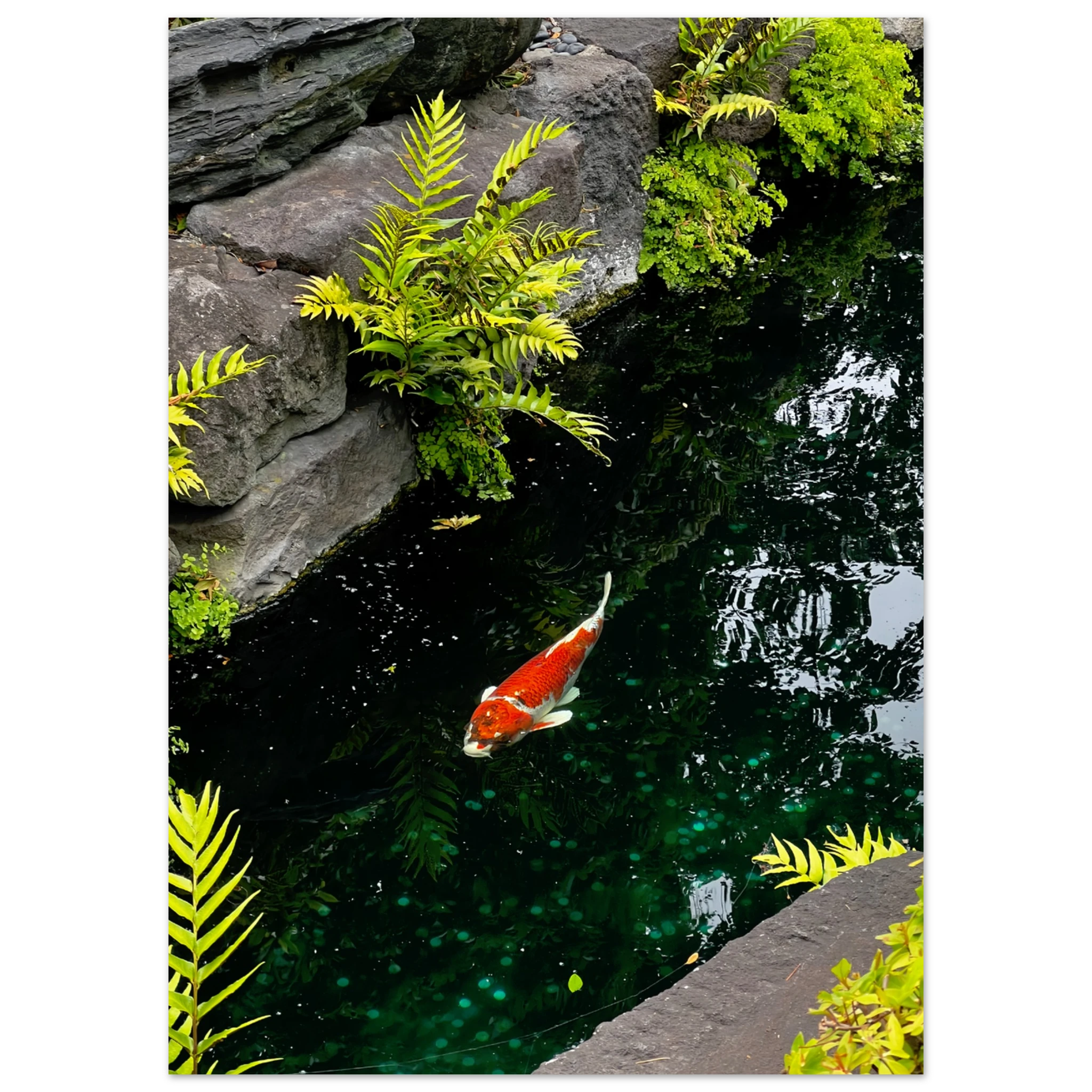 8d9f59f5-4c2e-42c7-a9d4-65b03ea2a10a