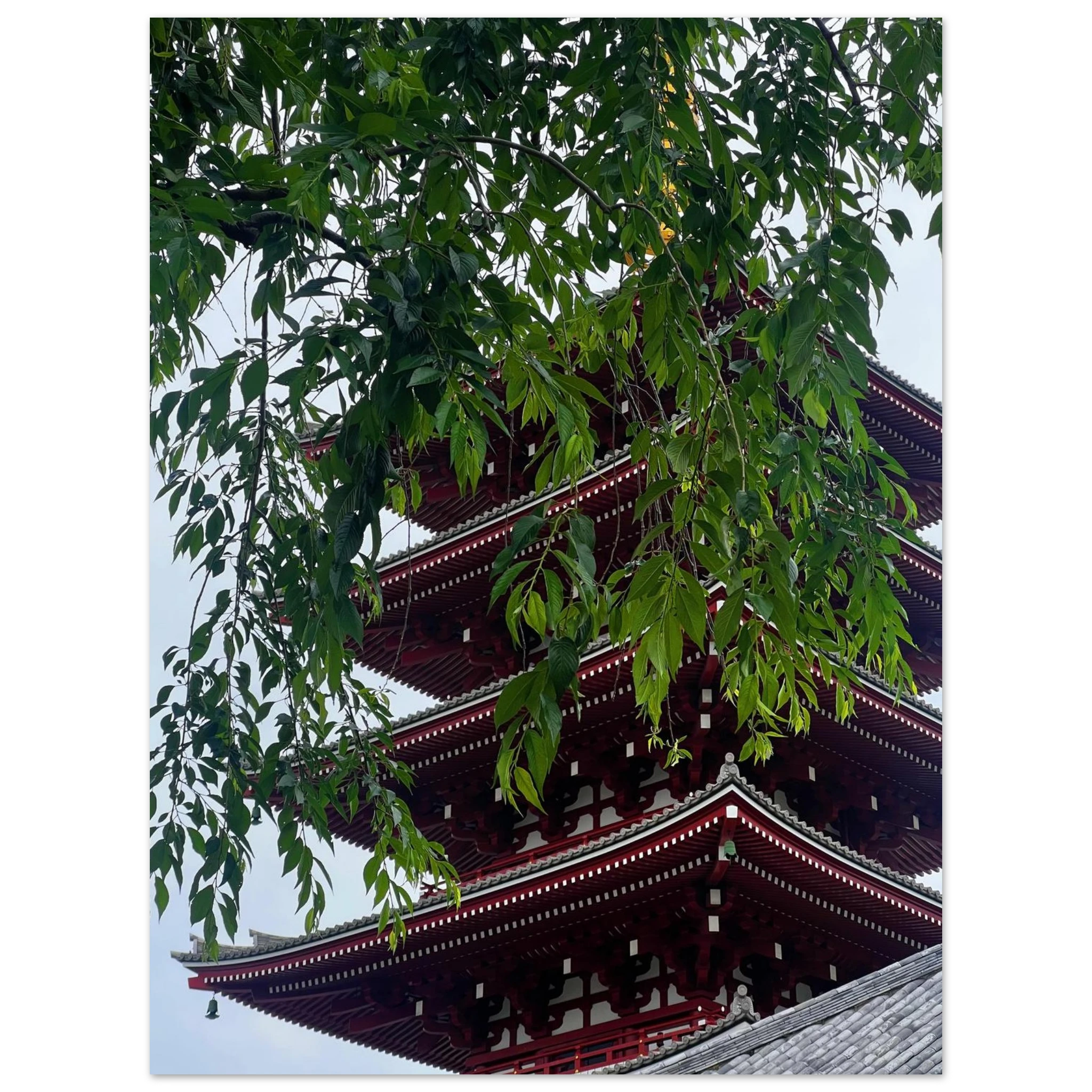 9f1ecc0c-4357-4311-a817-54355782a084