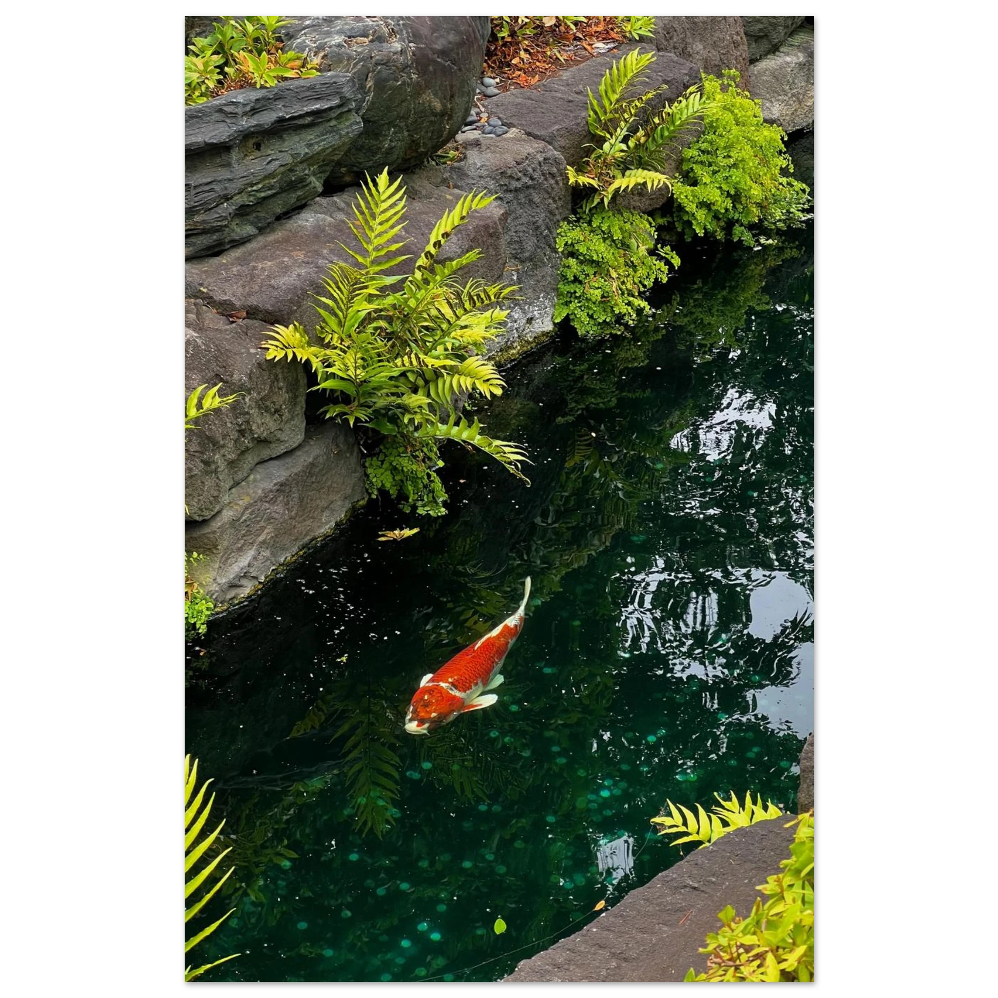 a029b4c2-cf41-4d24-882d-e7a6d2d6e8d3