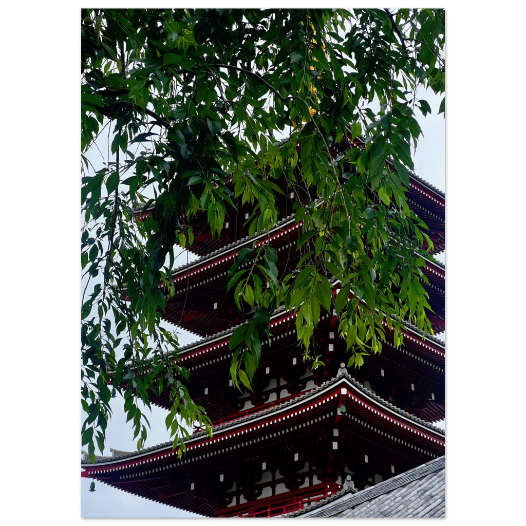 a5b620cc-d3cd-479e-bb9b-fa1fef65e5f7