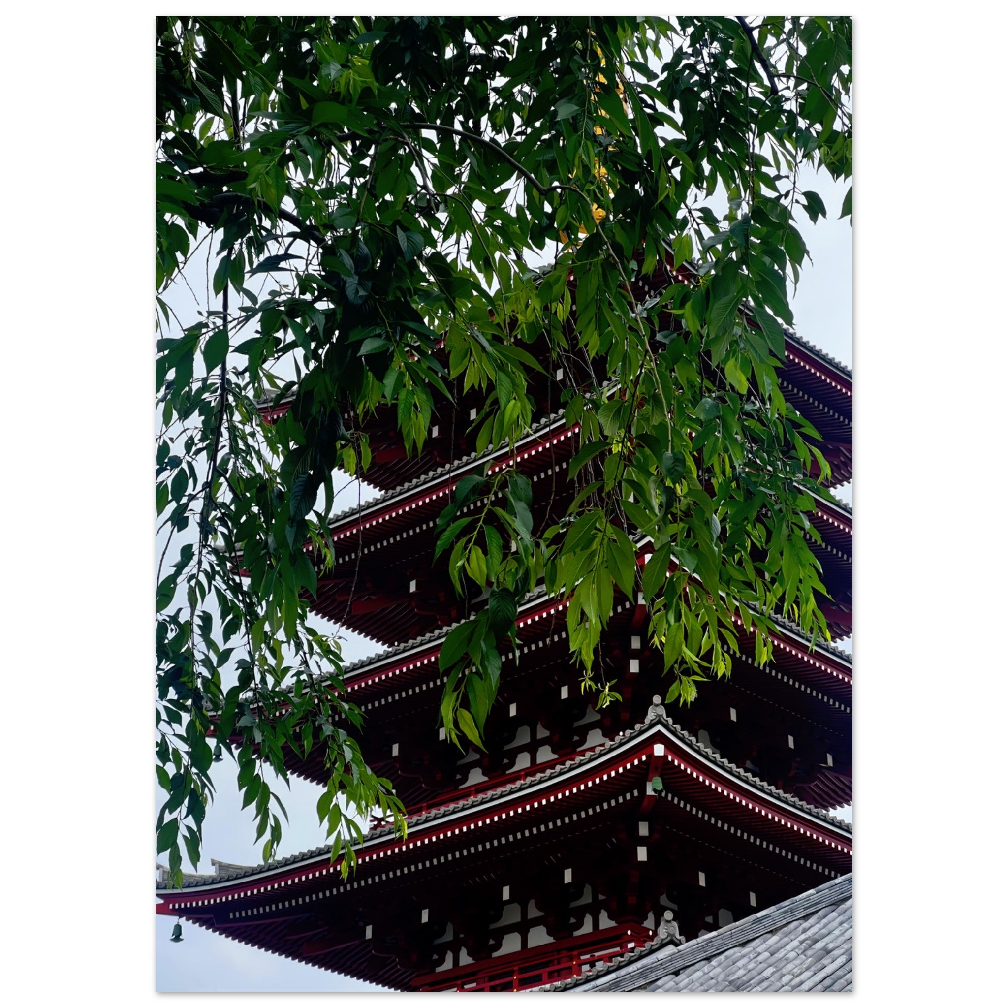 a5b620cc-d3cd-479e-bb9b-fa1fef65e5f7