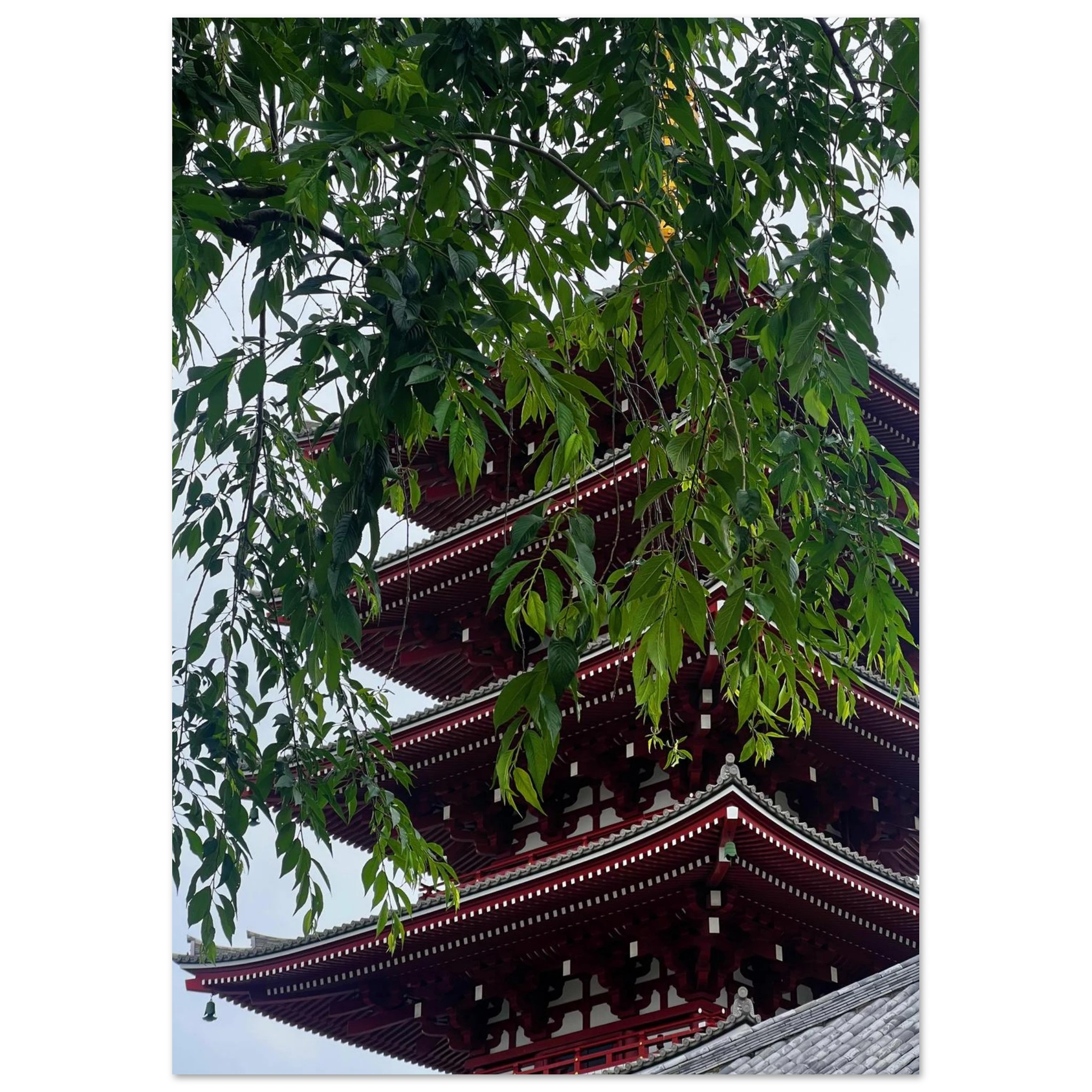 abb94eee-4637-4f87-a14a-c93042b535e2