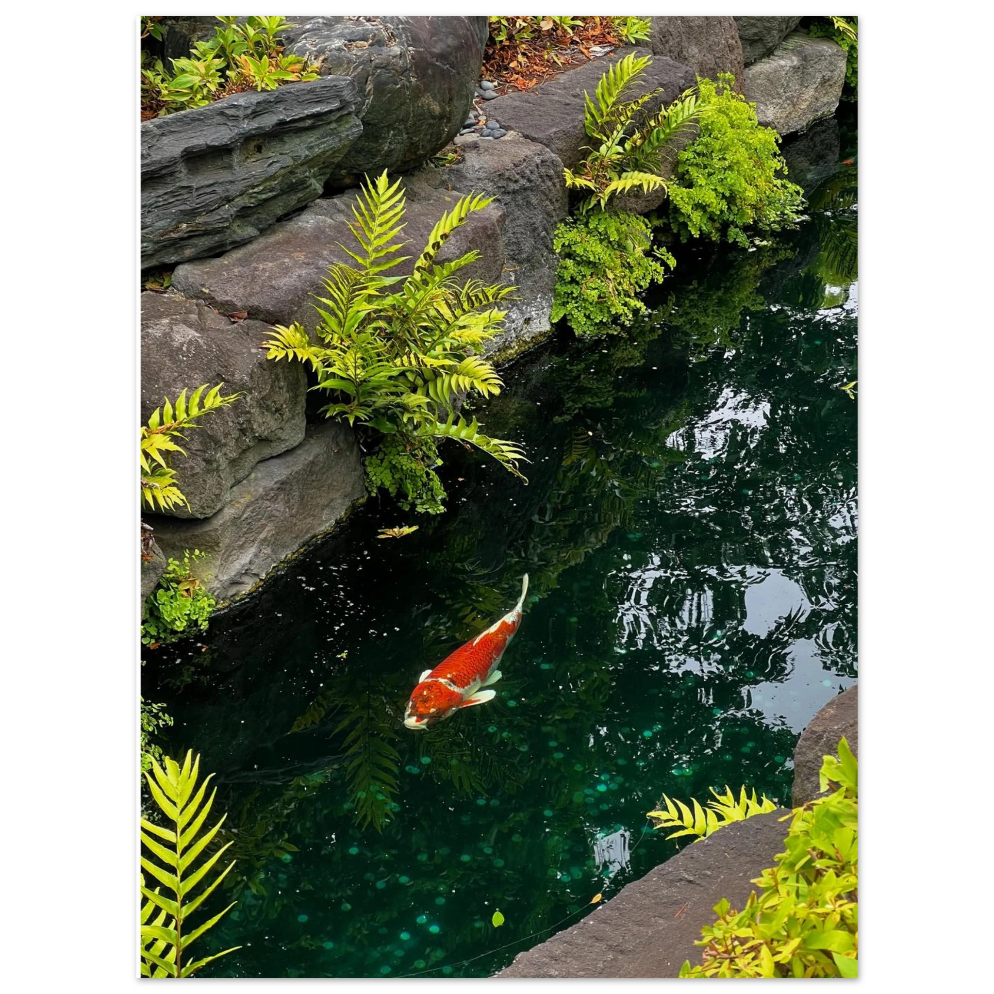 ac4da906-cba0-4781-b1da-9907cdf1725c