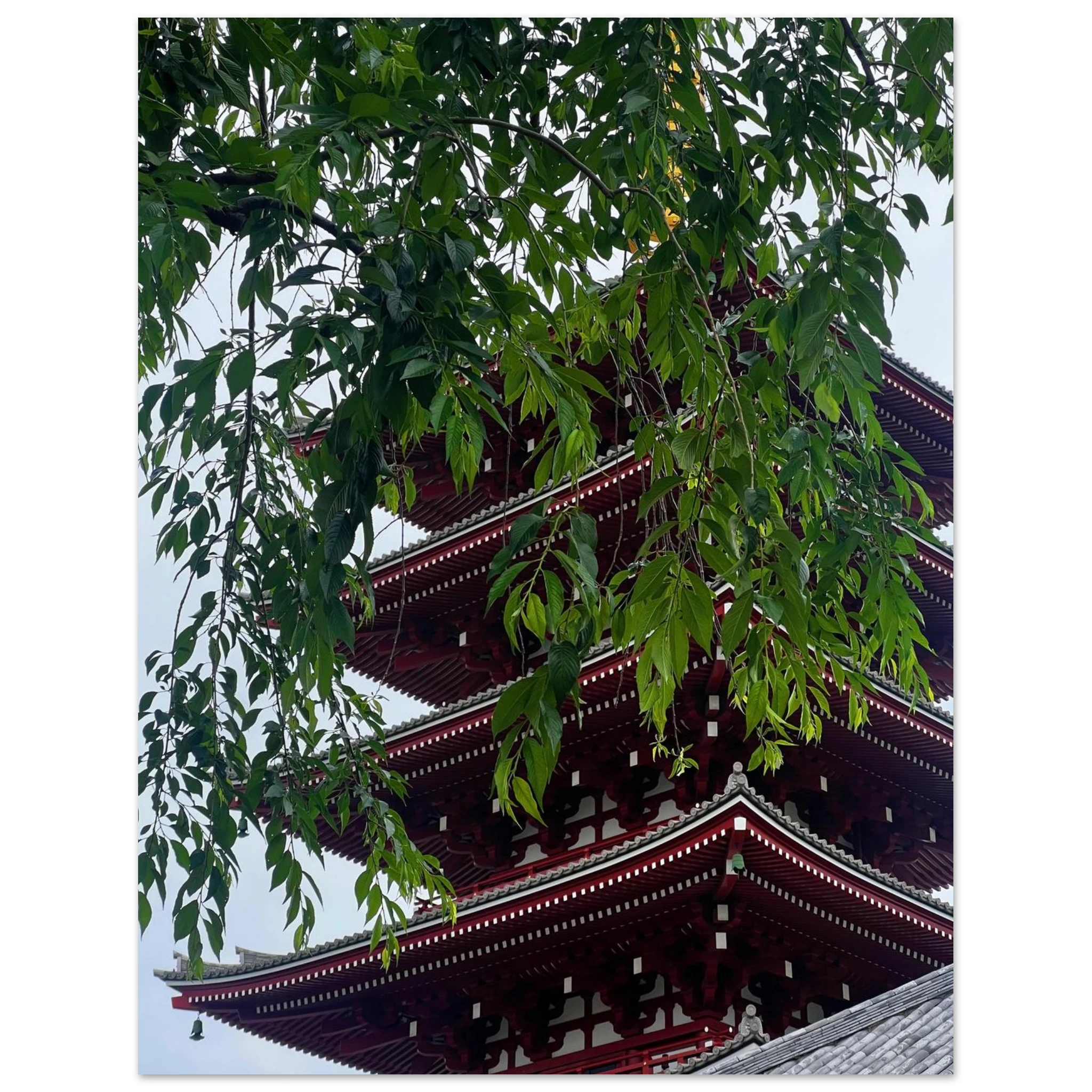 b8de9076-dde4-4e83-b36d-d5d34d4fad3c