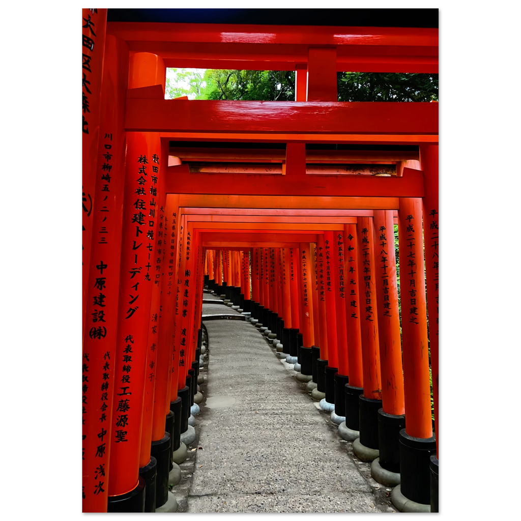 c2699c67-9cf0-4db6-96de-8b77a994c6df