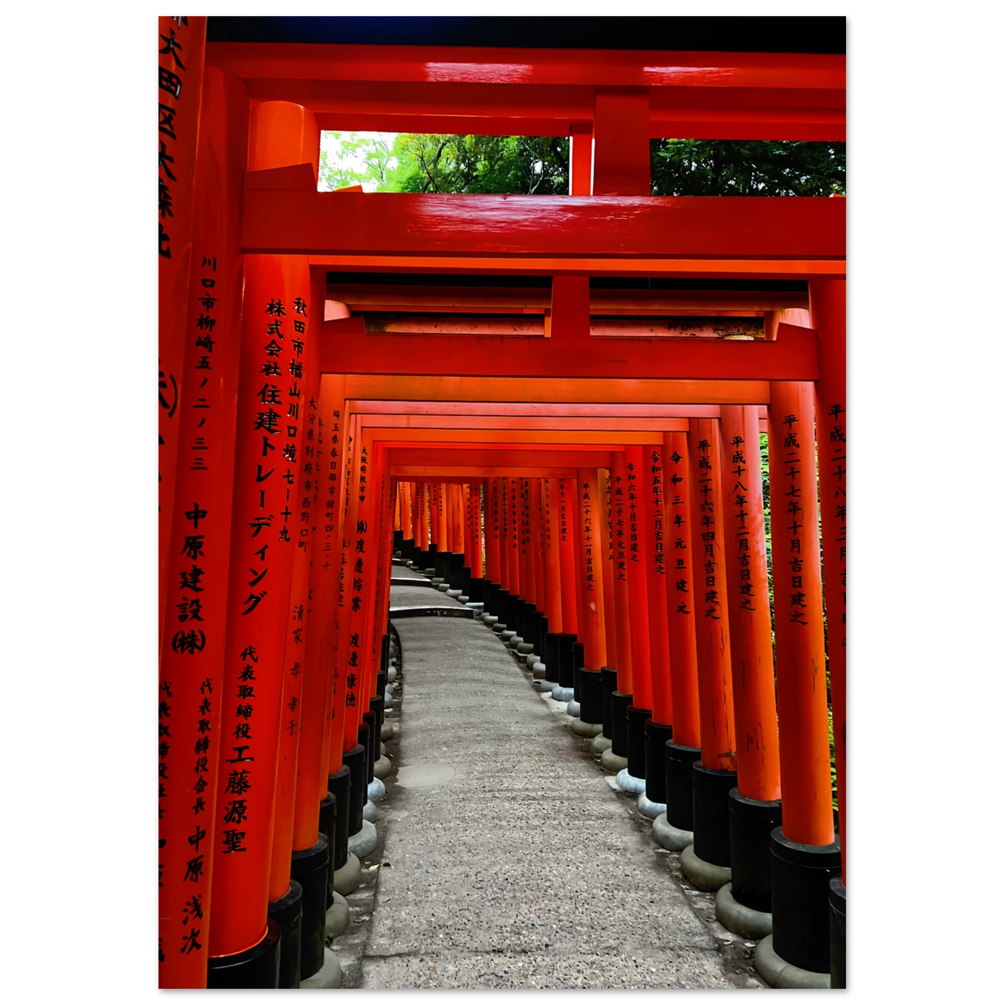 c2699c67-9cf0-4db6-96de-8b77a994c6df