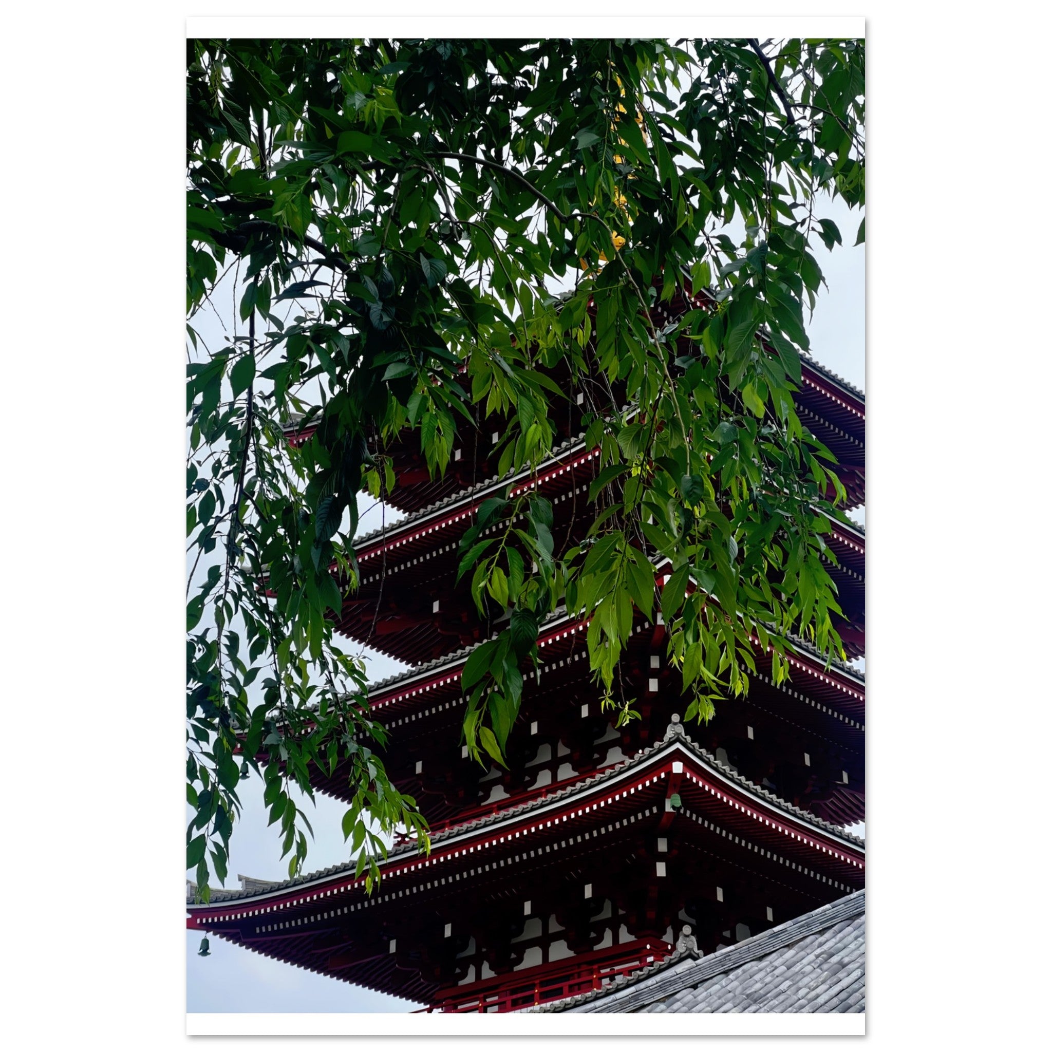 c7792f0e-aca9-49e1-86c9-36dc148d2025