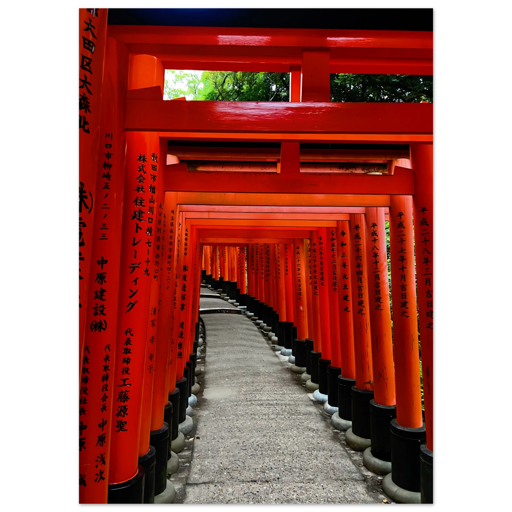 d1bf999d-5bc7-4470-8a45-1004d333aad4