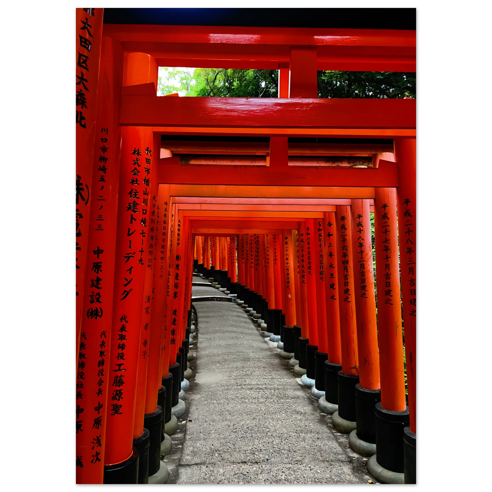 d1bf999d-5bc7-4470-8a45-1004d333aad4