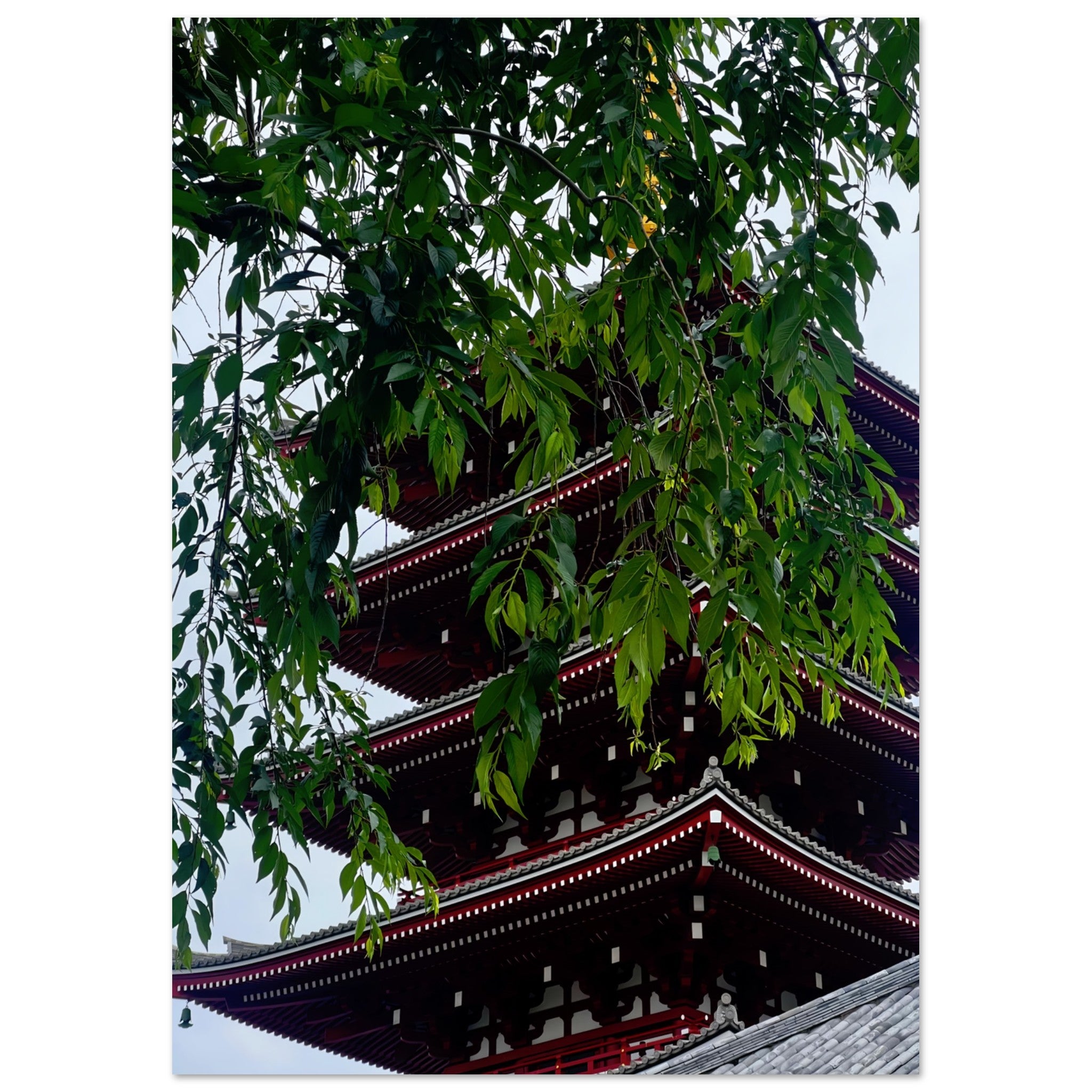 d20bb873-440f-479e-8636-813908b8c61d