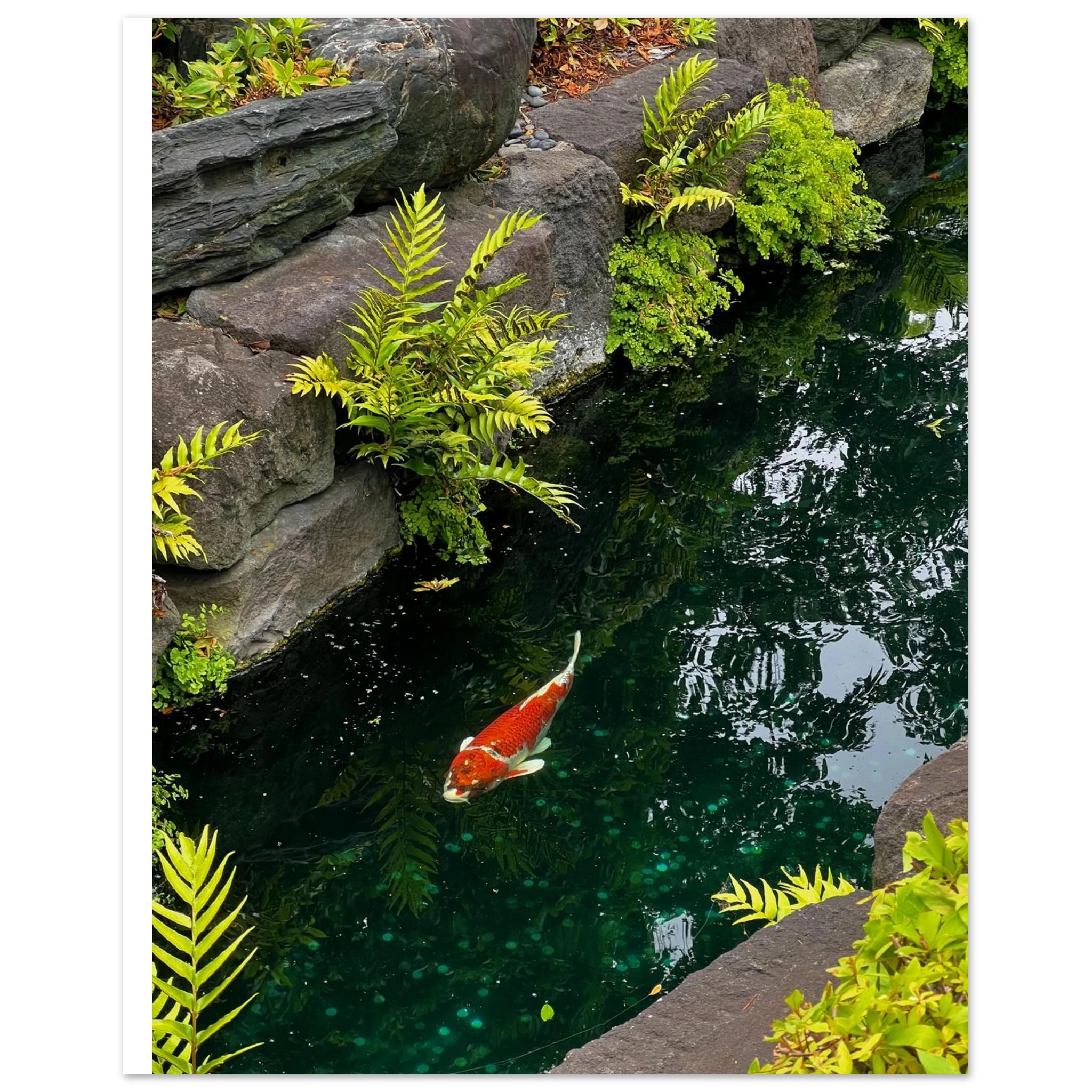 d39b16b0-8bf1-471f-846b-f3138e4ebb94