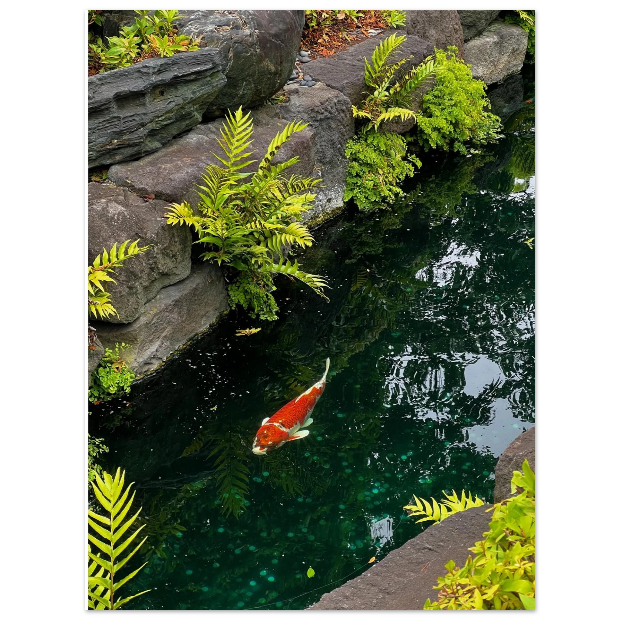 d4755c3a-ec12-4542-a6f1-dddc2ad8112c