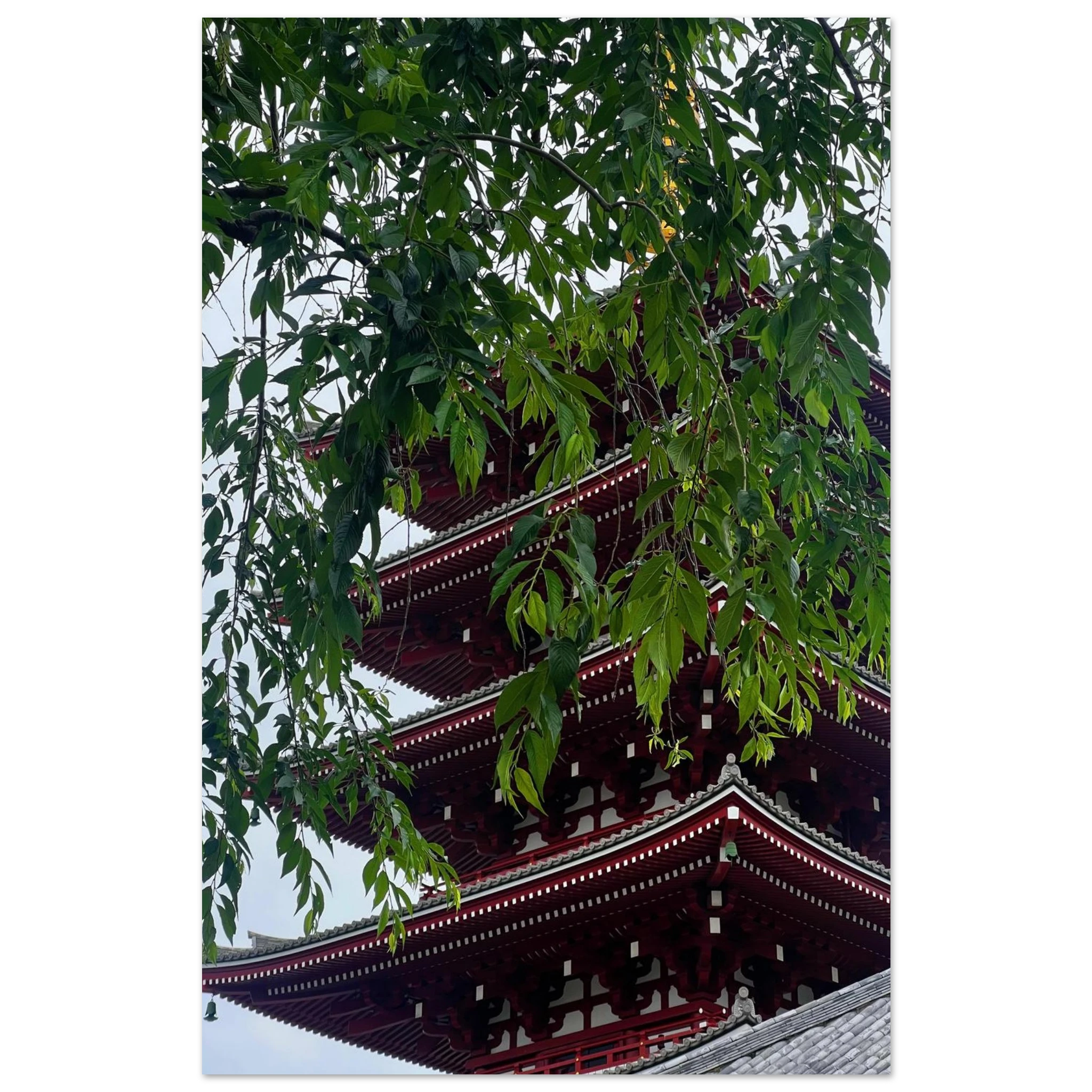 d63352f3-9b3a-47bf-b2c0-9b8efa6e1ca6