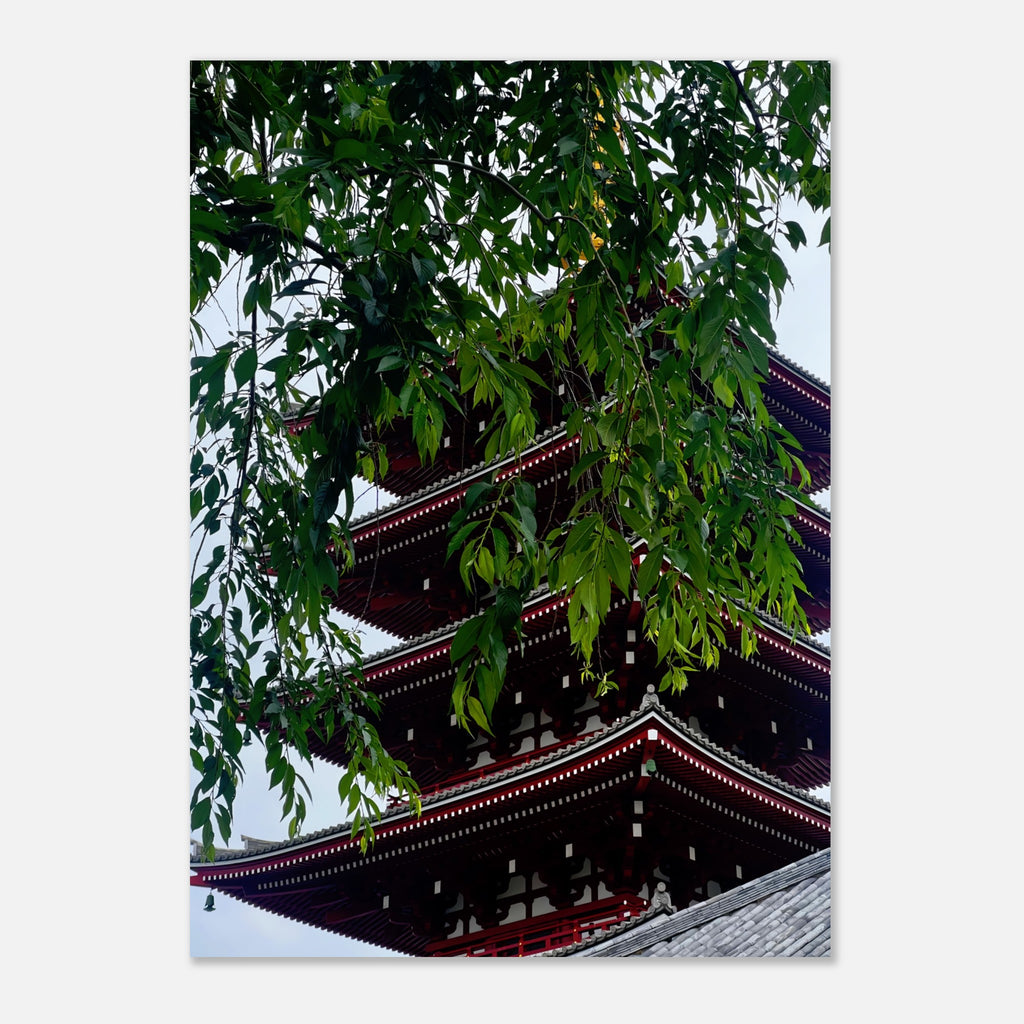 d9d5152c-7f3f-4ccd-b05a-8286c21d1b54