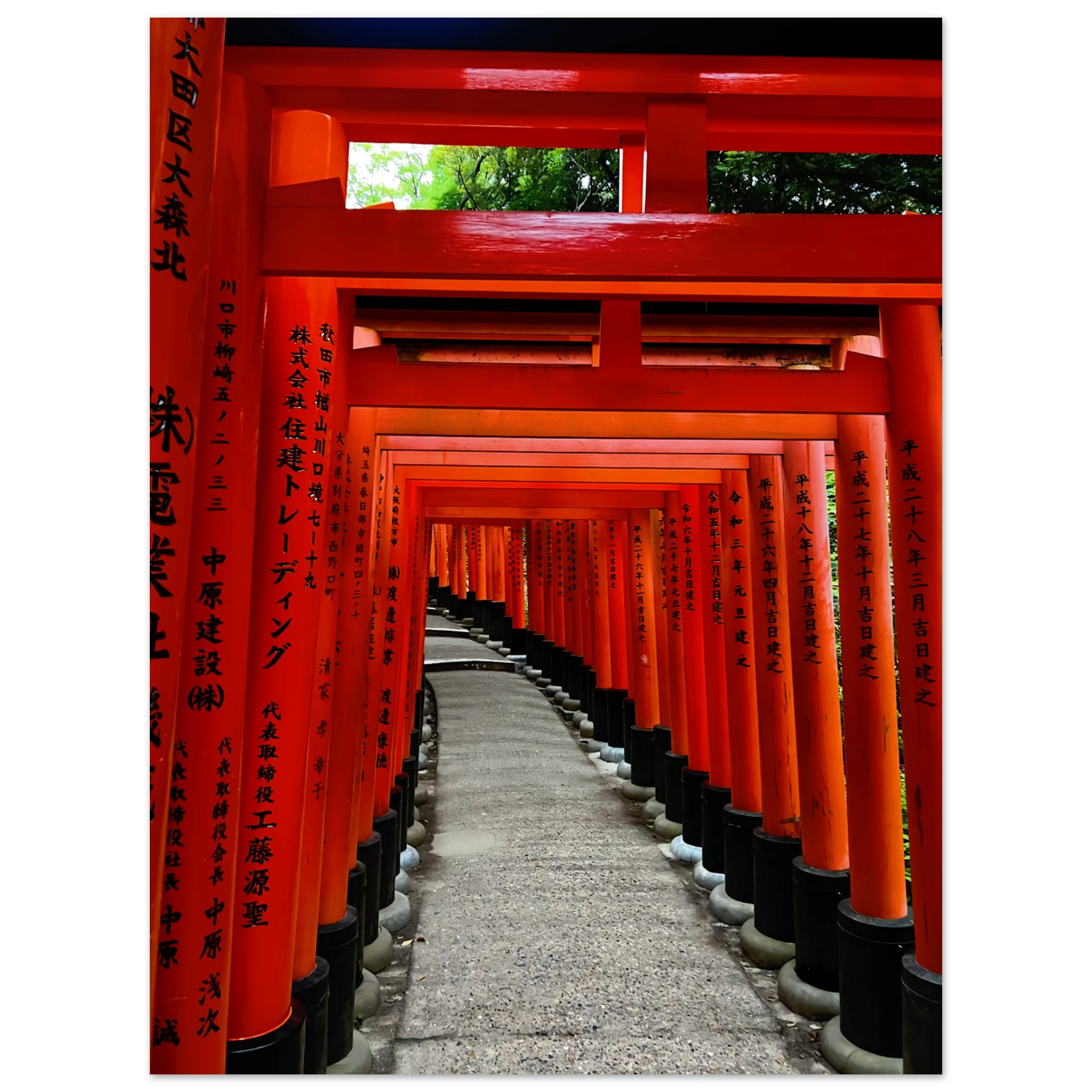 db090bdf-5b22-46f7-84e8-0113721e2b94