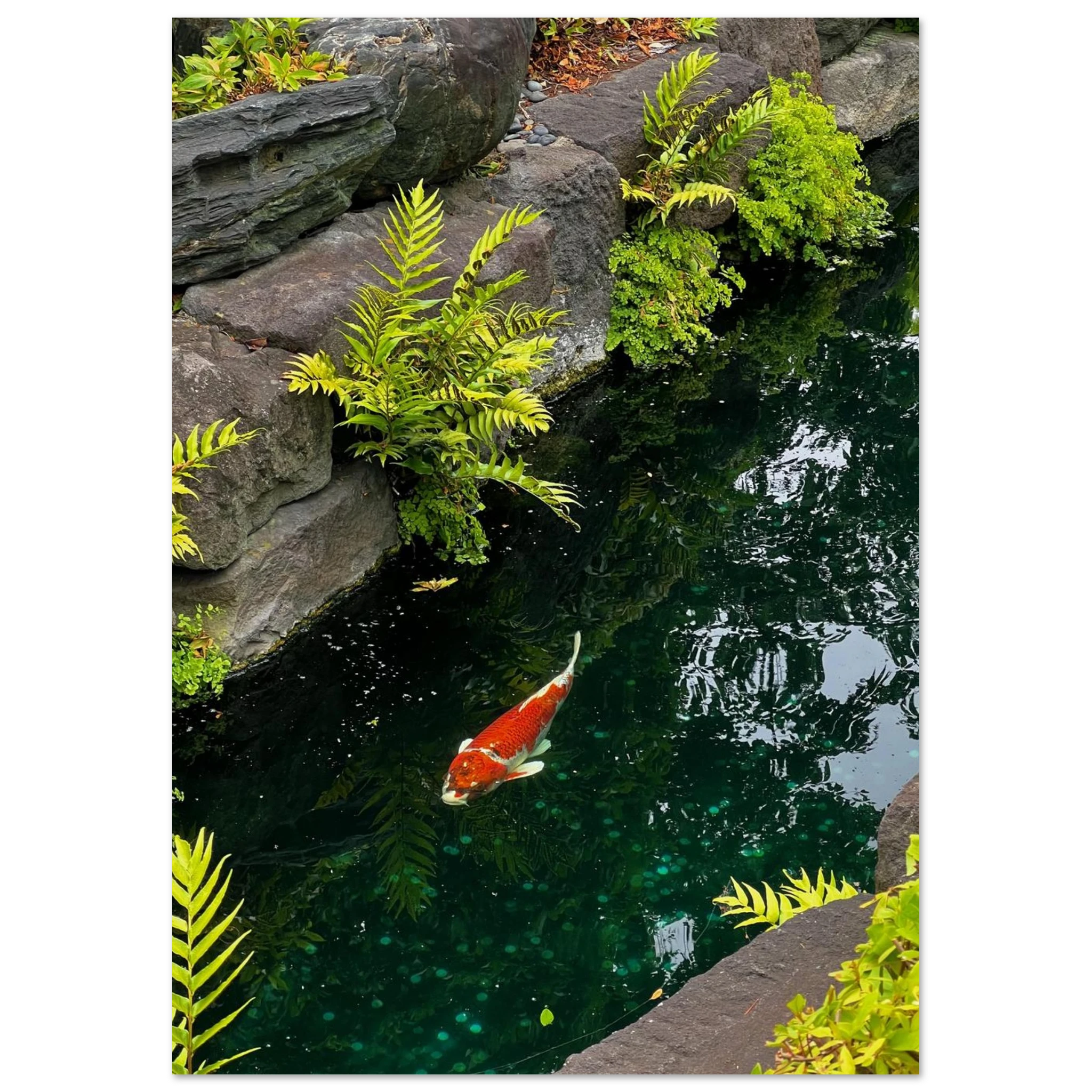 dfd88bbb-b750-48ab-98c5-6303117f7ff7